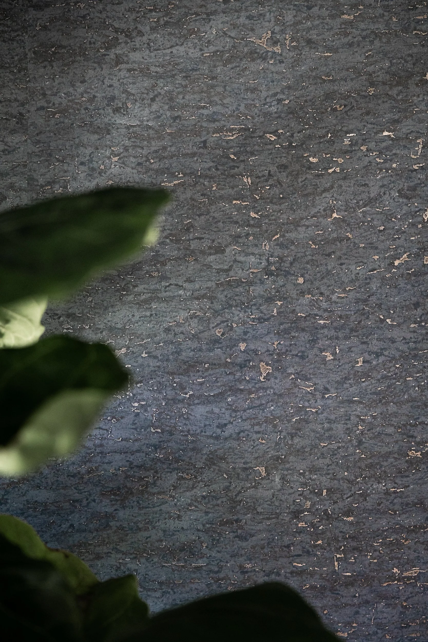 Close-up of a dark, textured surface with some shiny, reflective spots, partially obscured by blurred green leaves in the foreground.