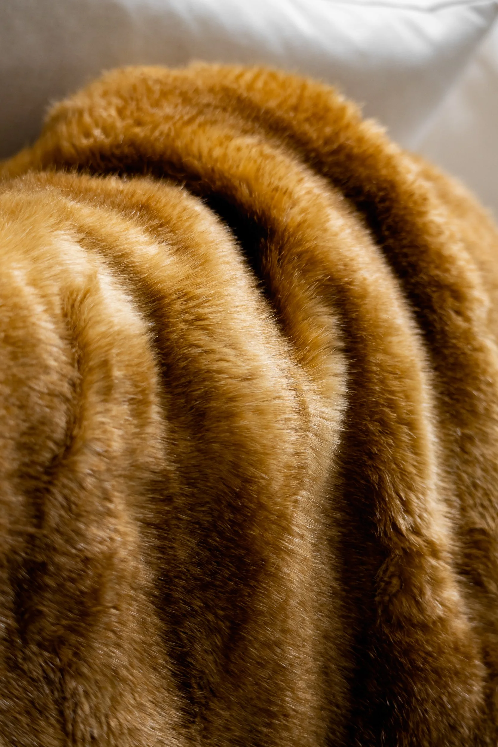 Close-up of a tiger's orange and black striped fur.