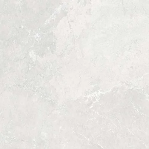 450mm x 450mm wet area floor and wall tile with grey grout.  
  Maximo White Matt  