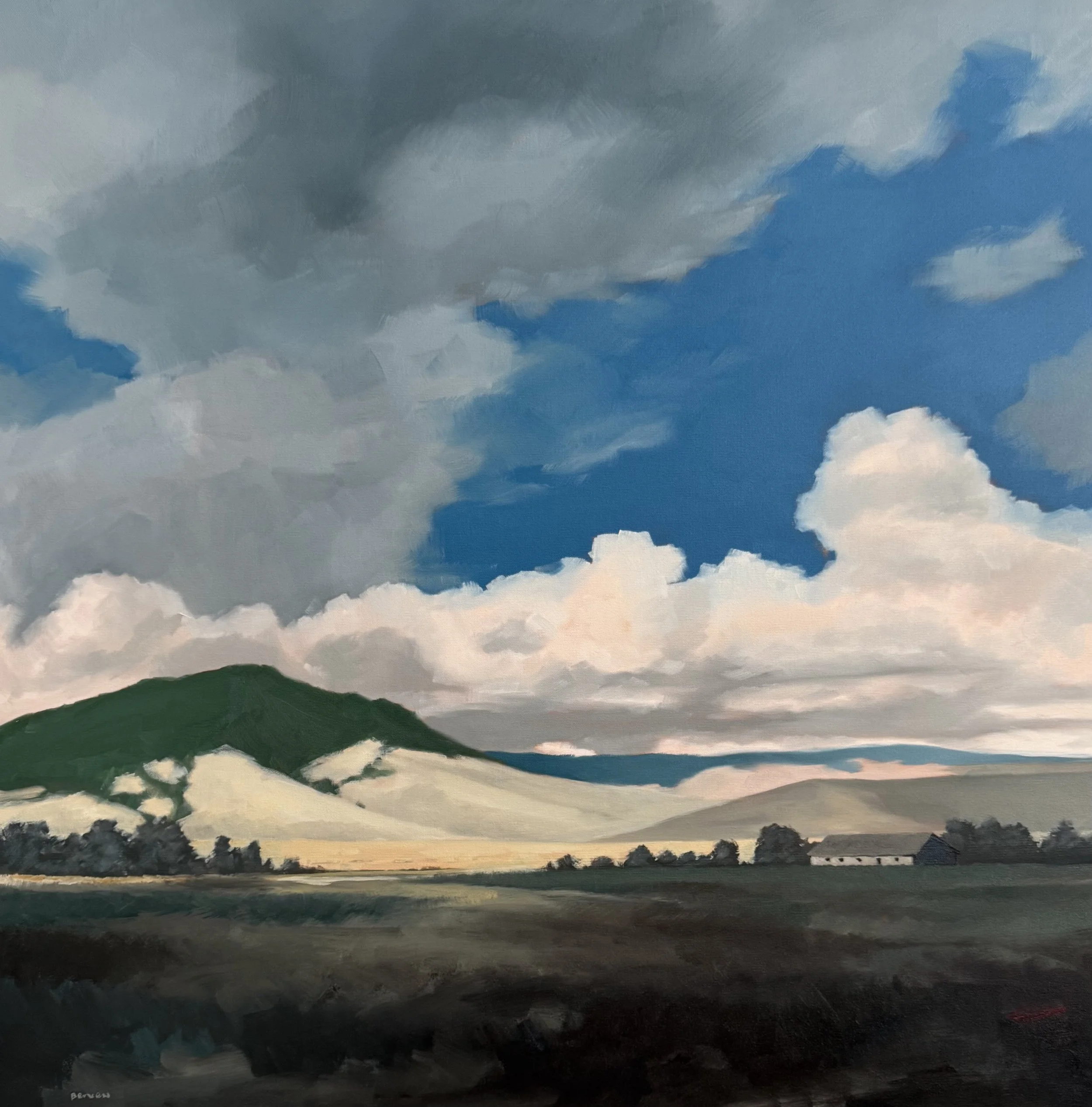 "Cerro San Luis"
36x36 oil
$4400 (available)
