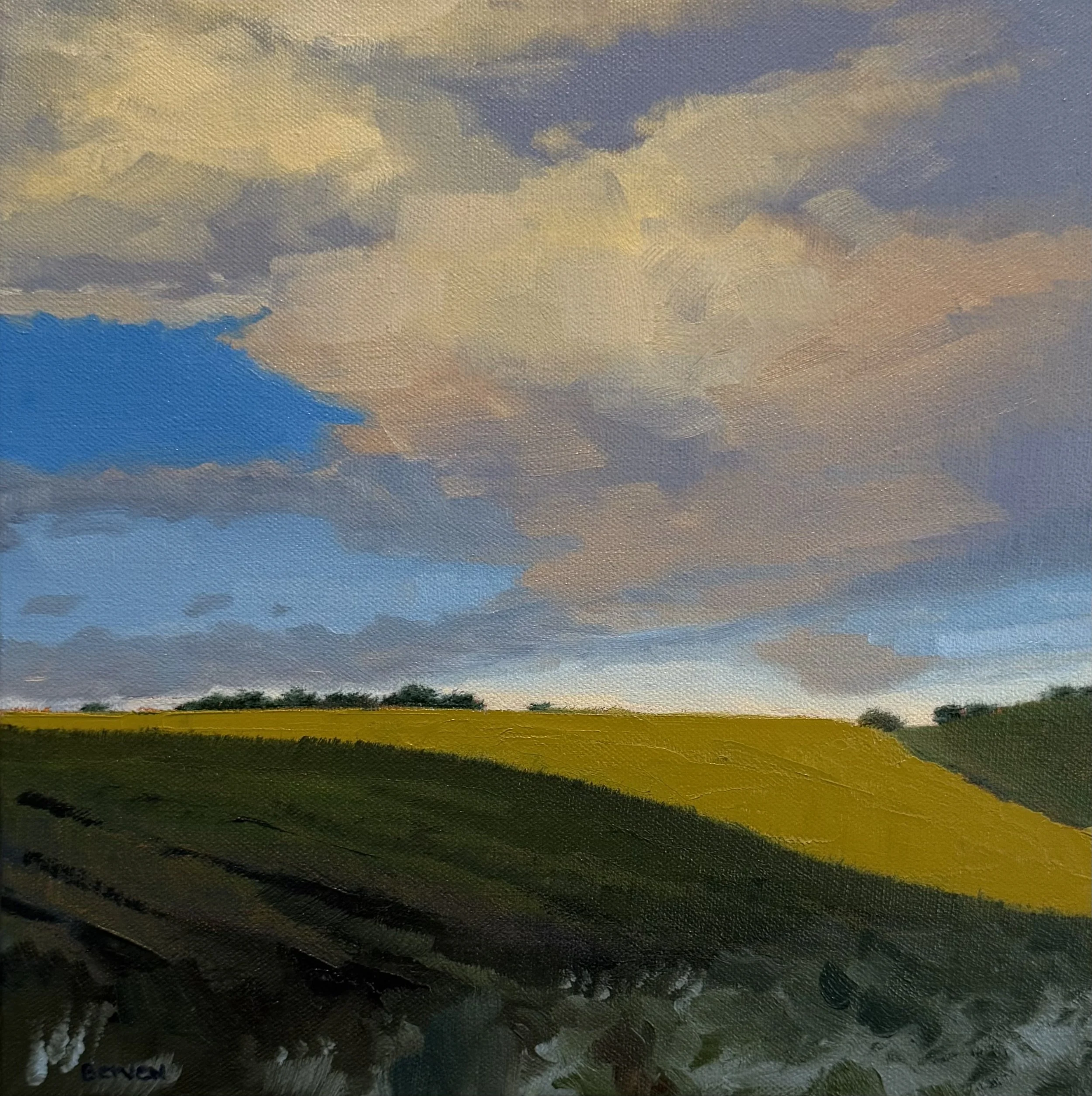 "Sun Hits the Land"
8x8 oil
$250 (available)