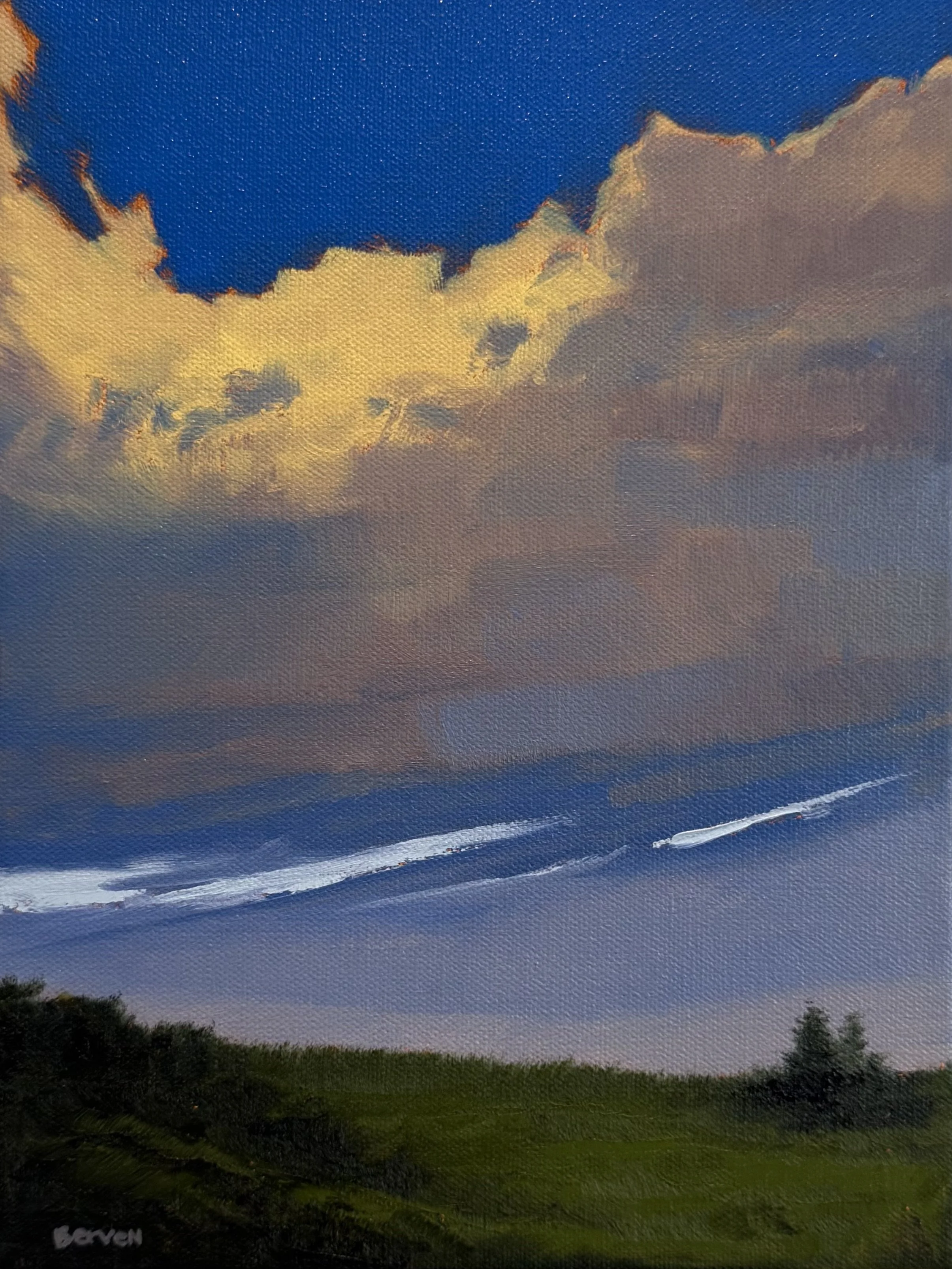 "Green Under Changing Sky"
12x18 oil
$800 (available)