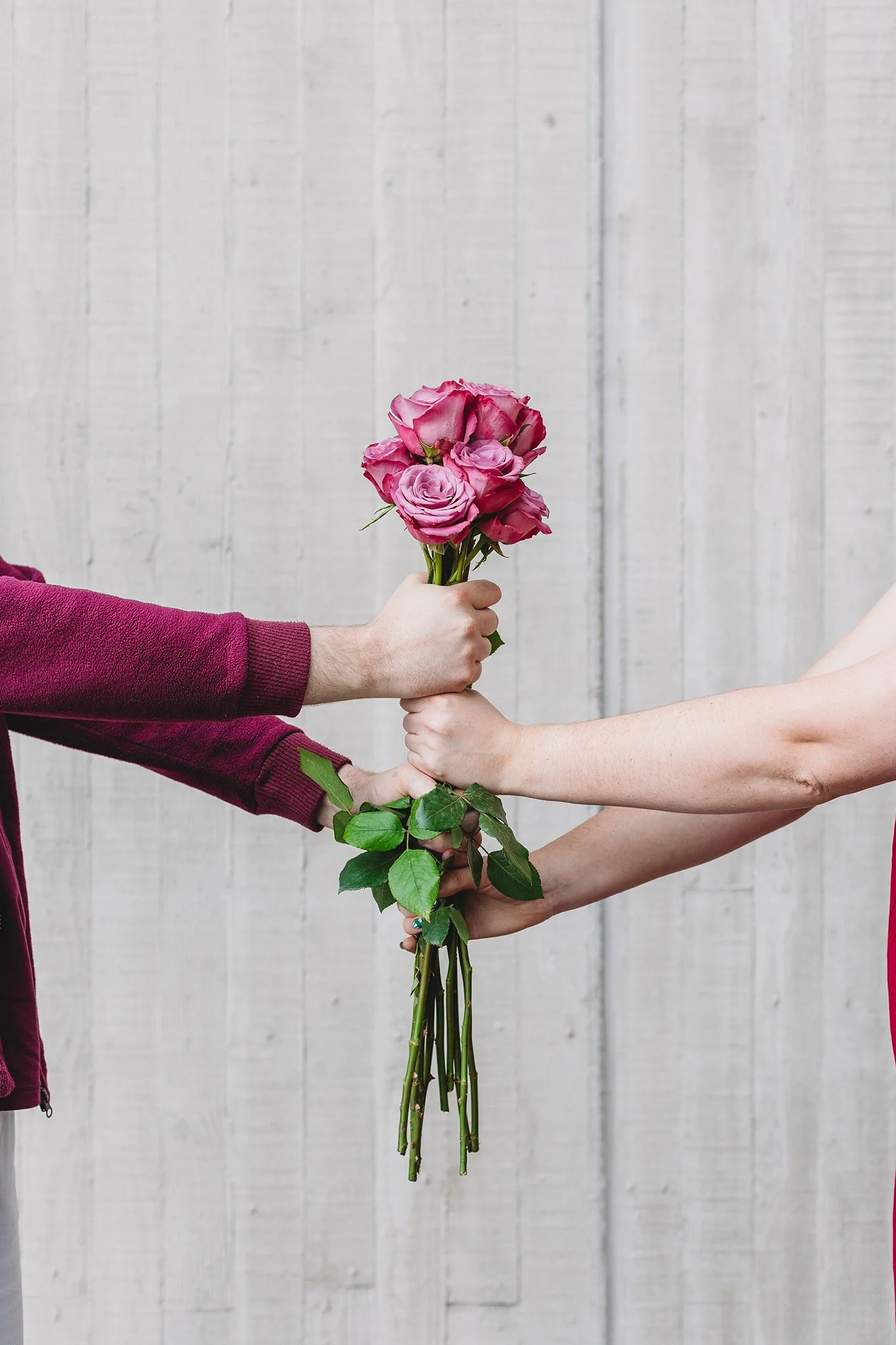 Canberra Branding Photography - two people hold purple flowers