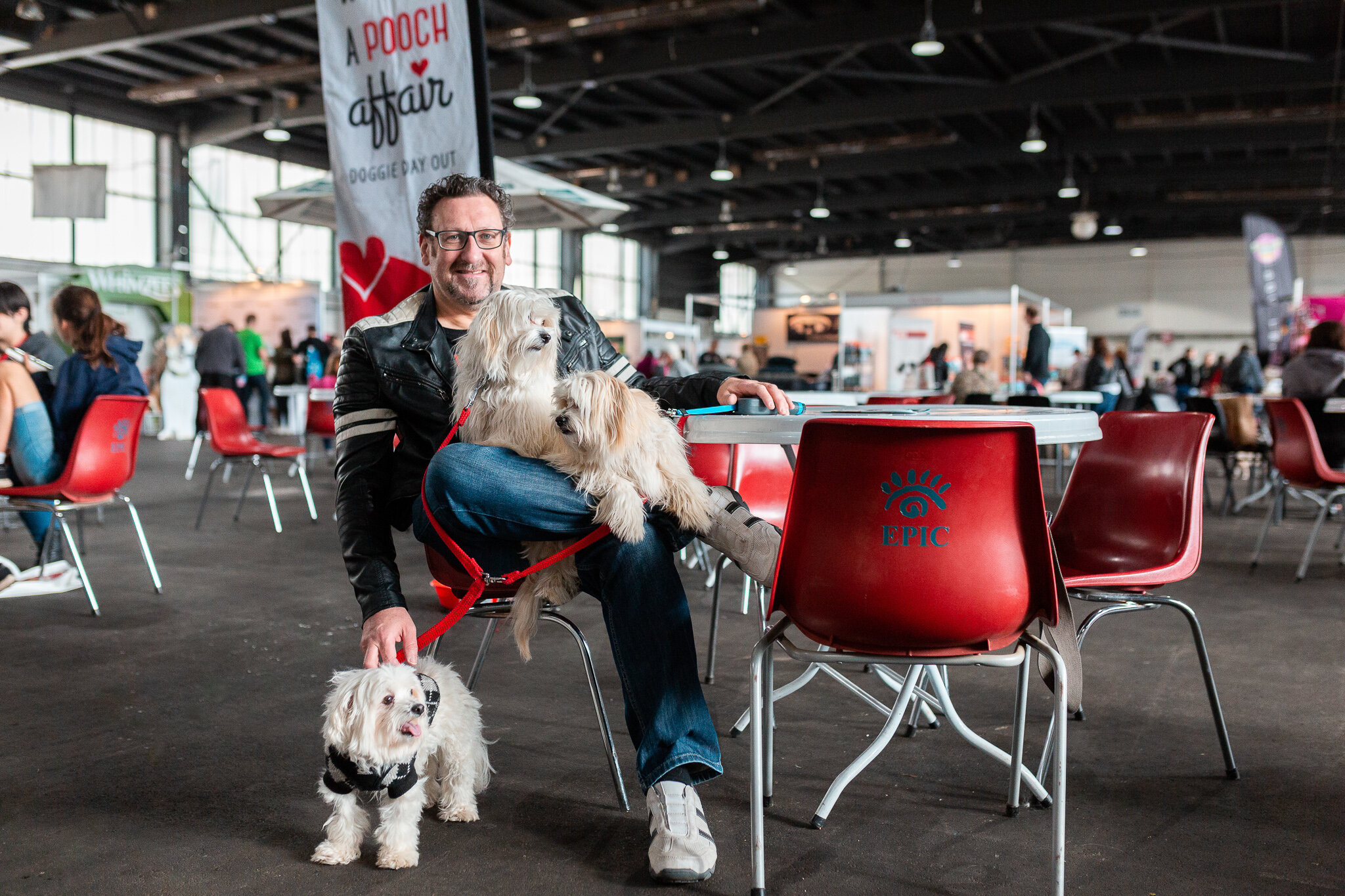 Canberra Event Photography - Man and dogs sitting on chair