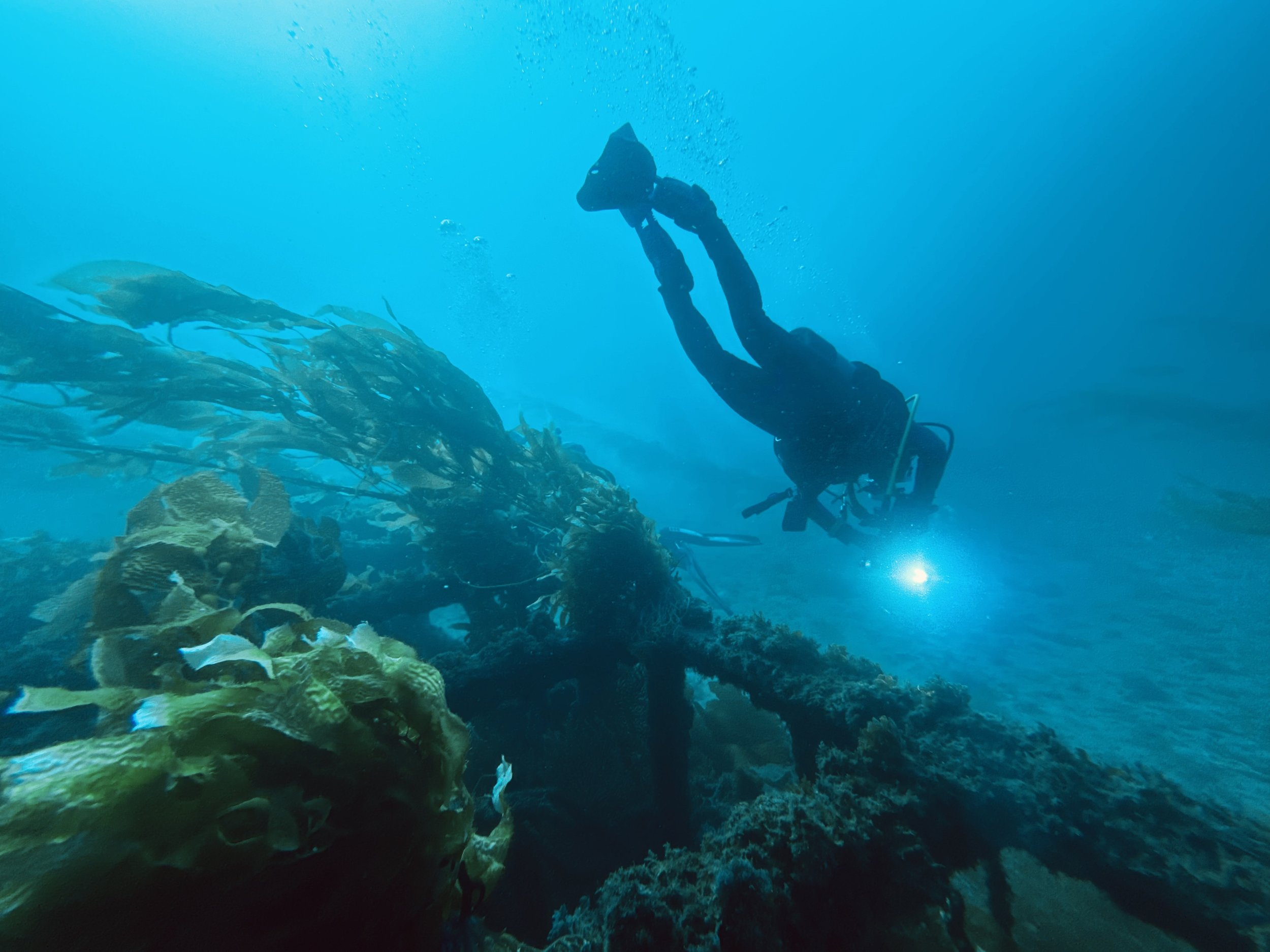 MORE? Scuba Diving. I still get nervous and excited every time, and there is still so much to learn. 