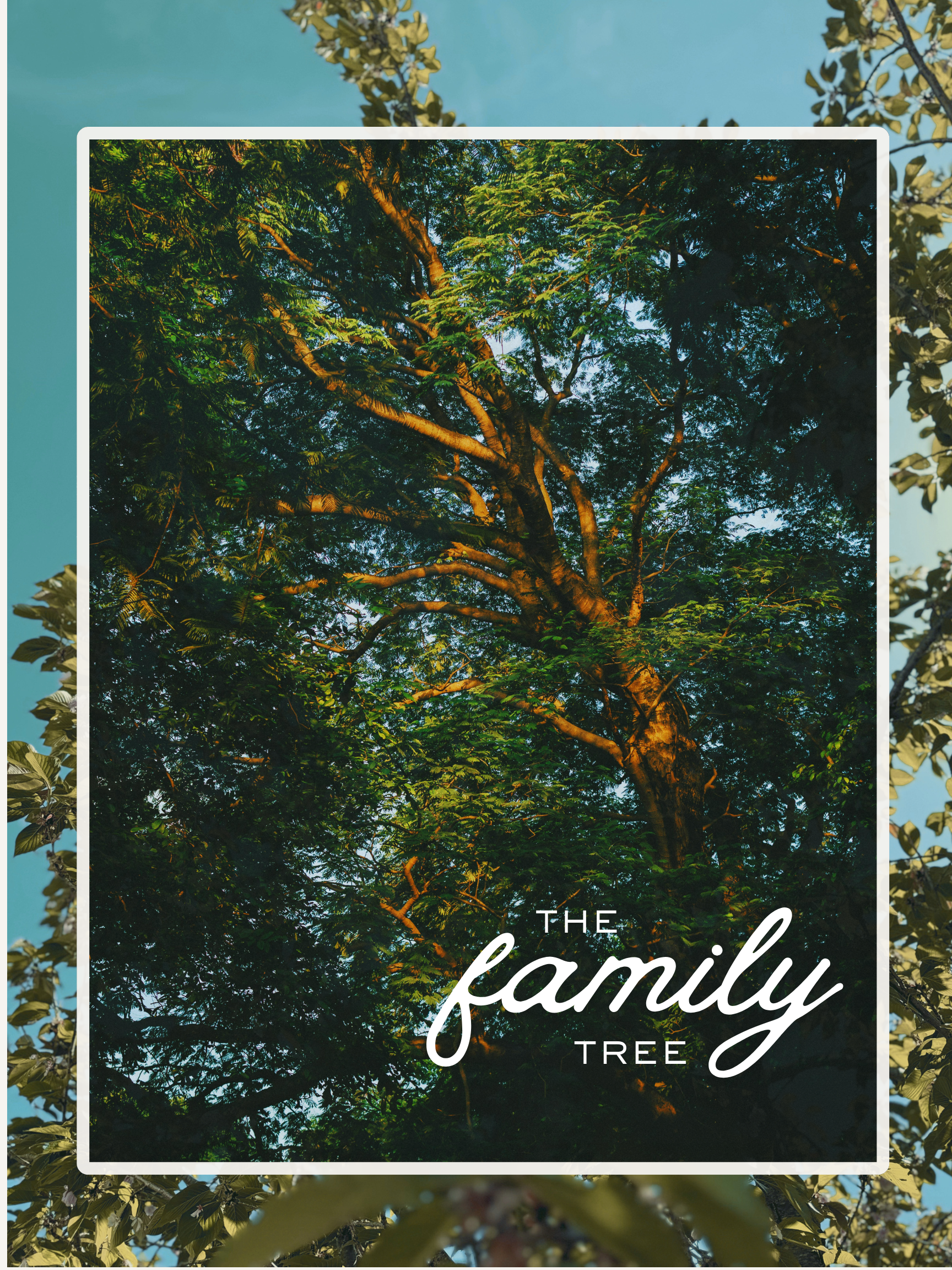 family tree tarot reading.png