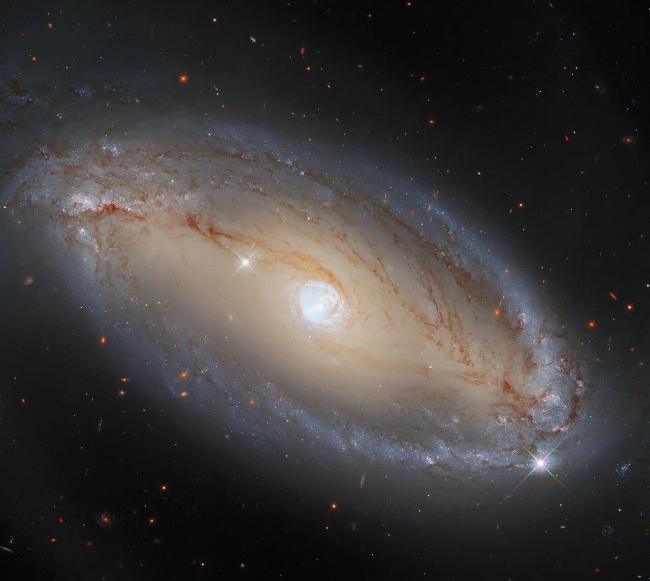 July Guest Post: Stars in Our Skies
