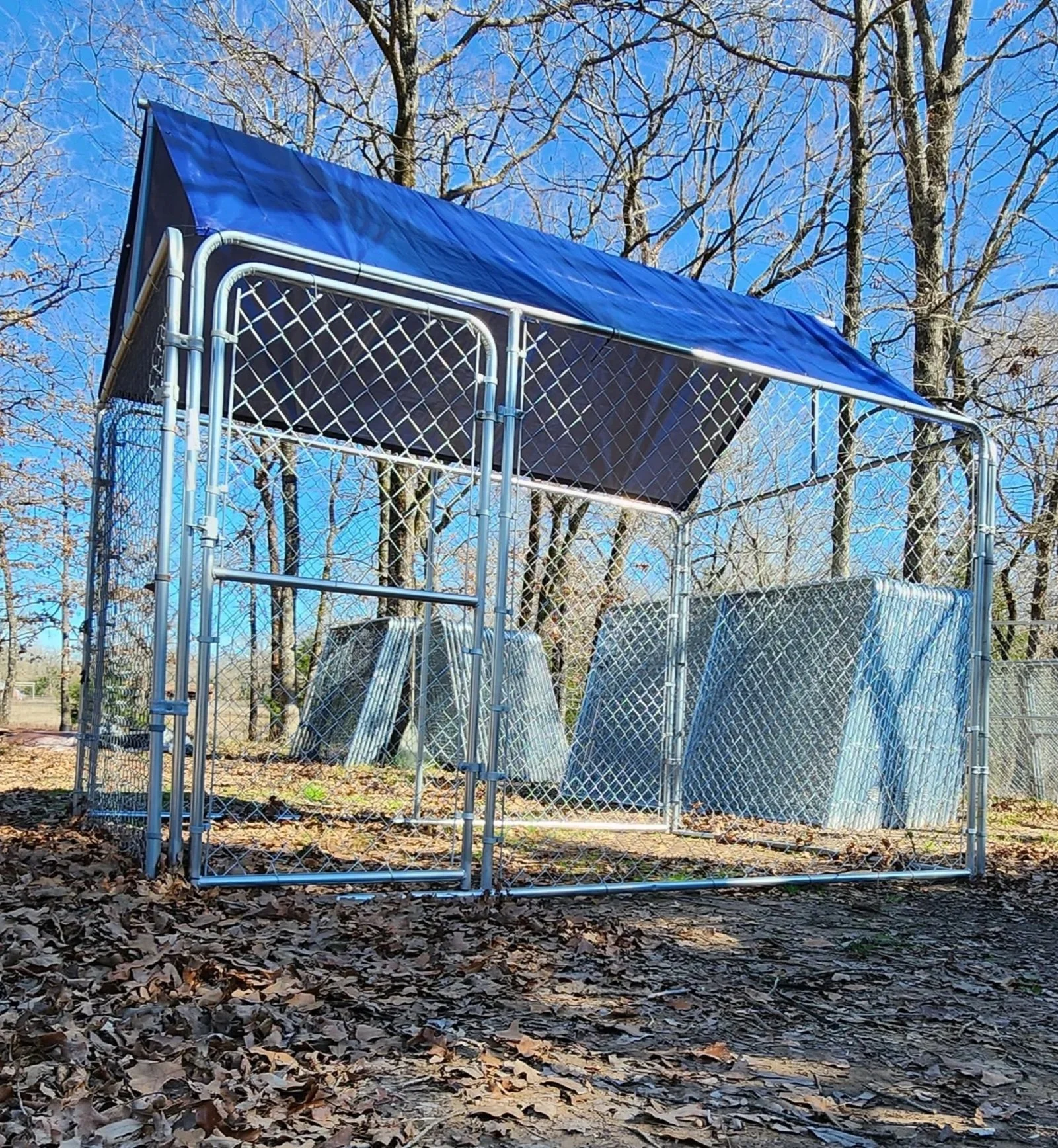 Chain-link kennel enclosure with a blue roof in a wooded area.