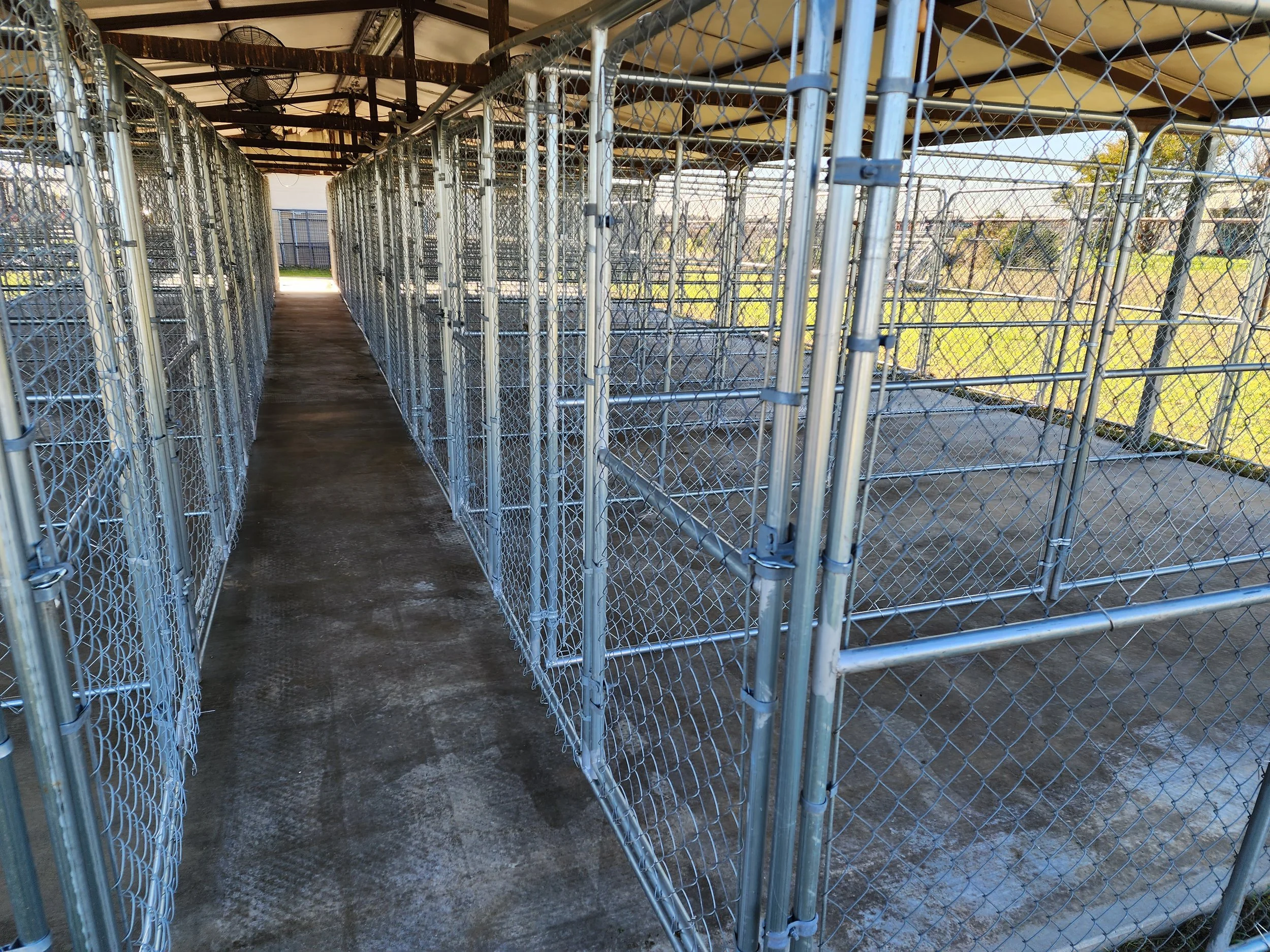 connected-dog-kennels-large-build-gold-series.jpg