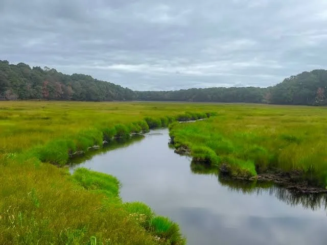 October TU Chapter Gathering - Program - “Nissequogue River and the Stump Pond Dam”