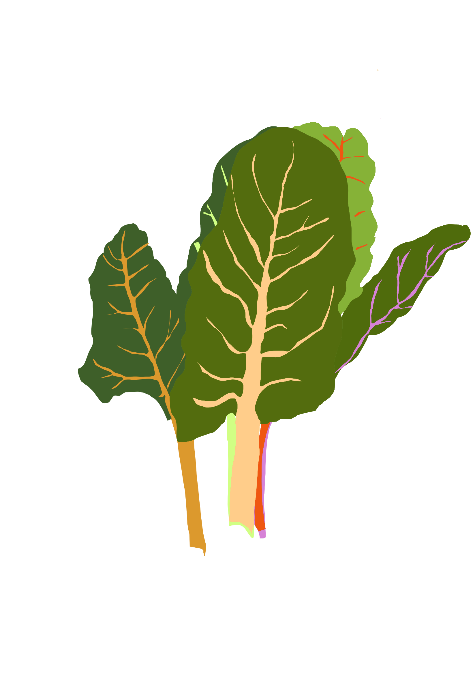 Untitled_Artwork 13.png