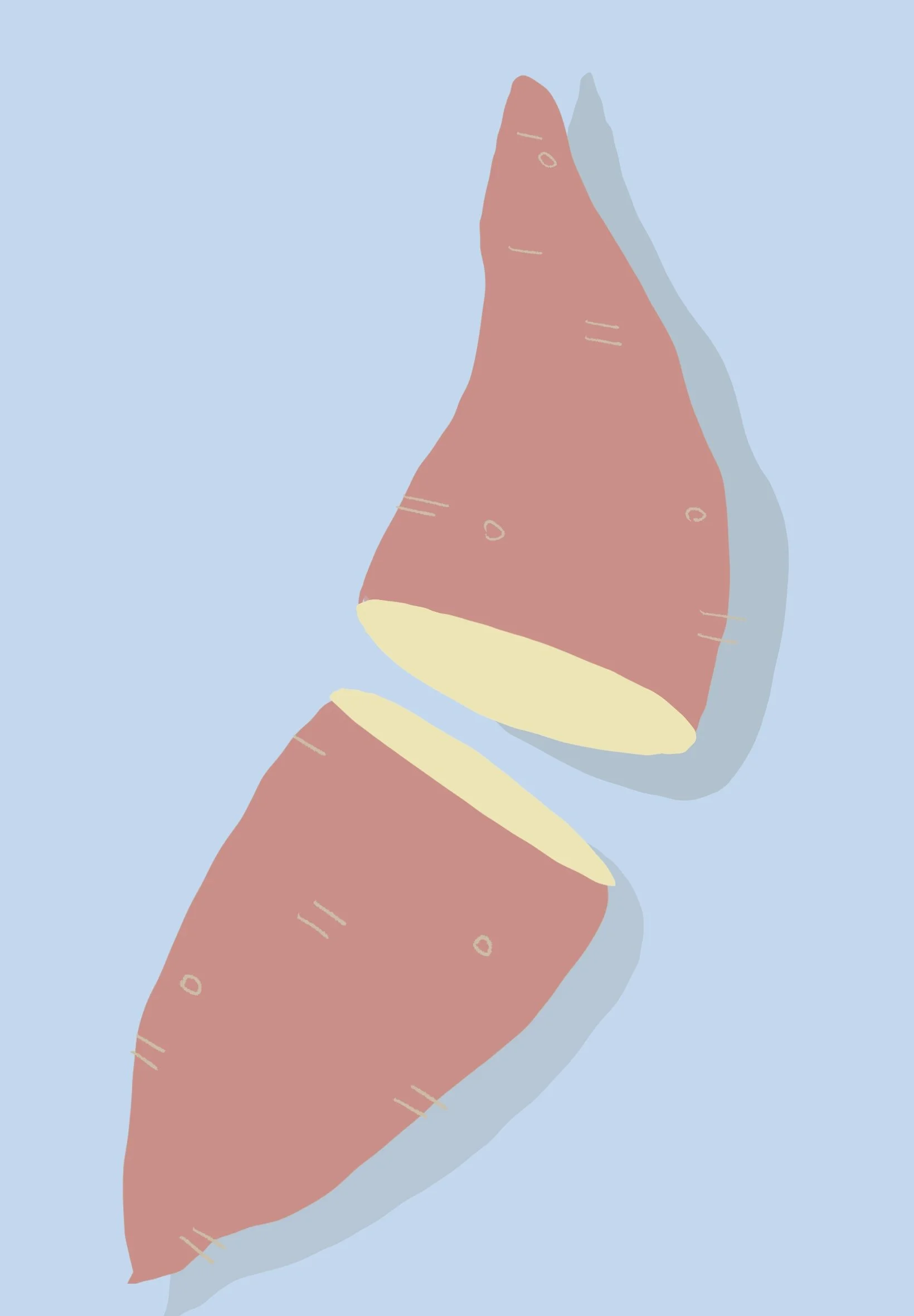 Untitled_Artwork 2.jpg