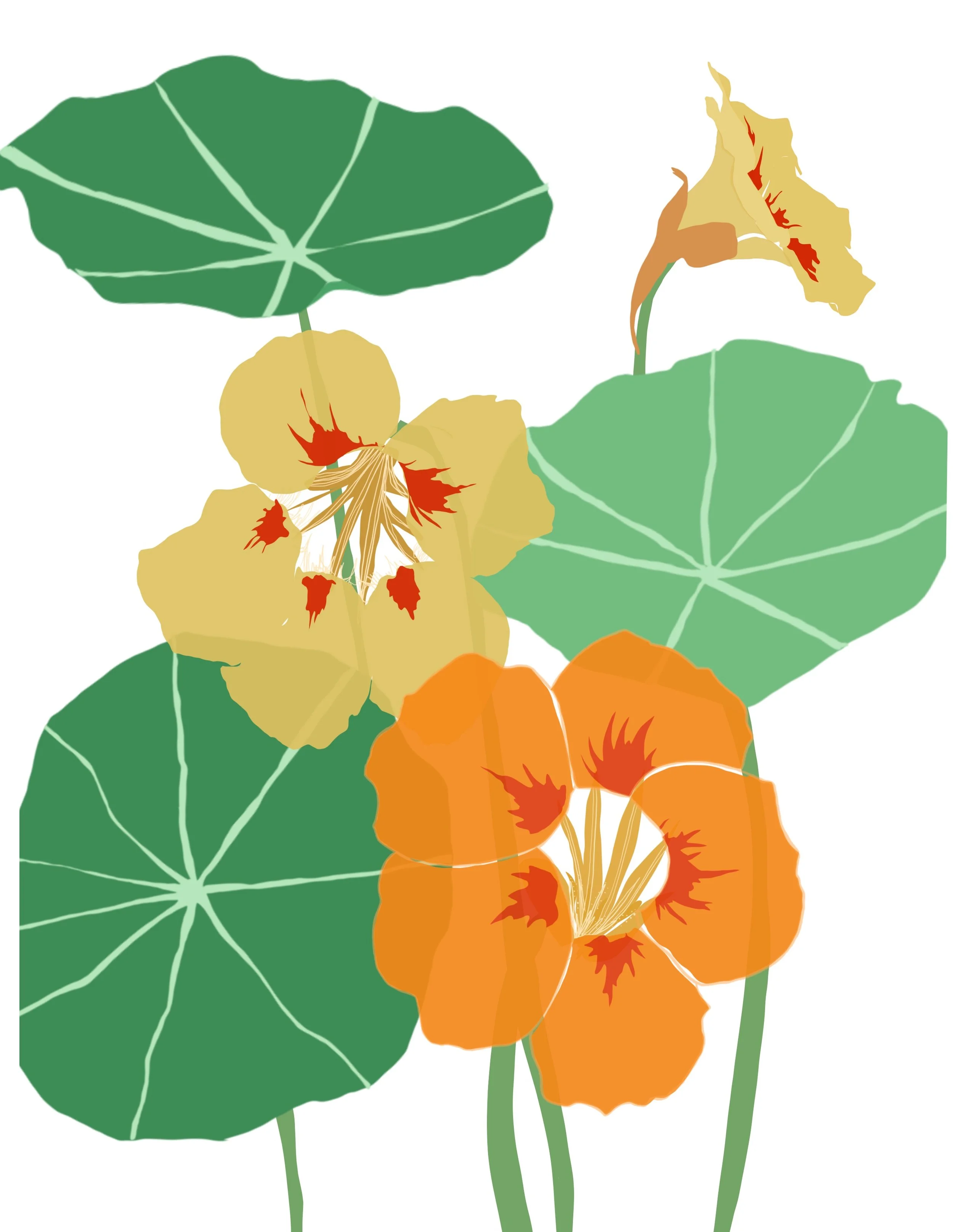 Untitled_Artwork 3.jpg