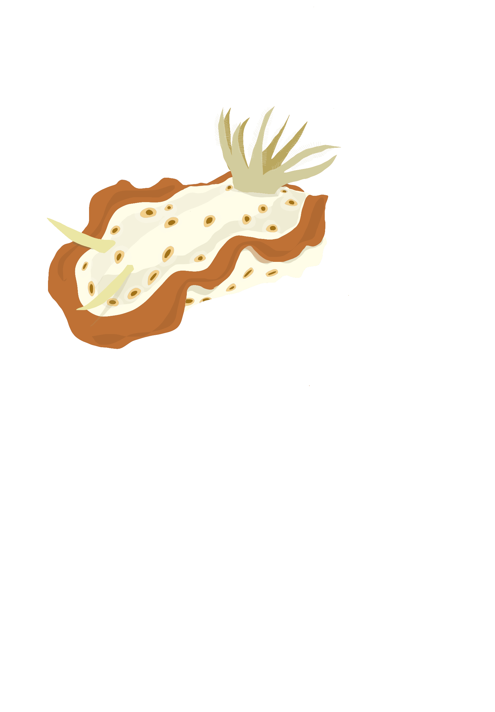 Untitled_Artwork 24.png