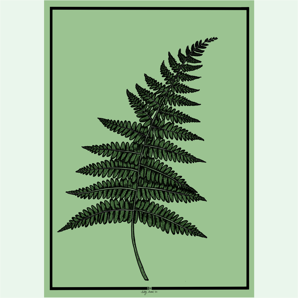"fern head" print