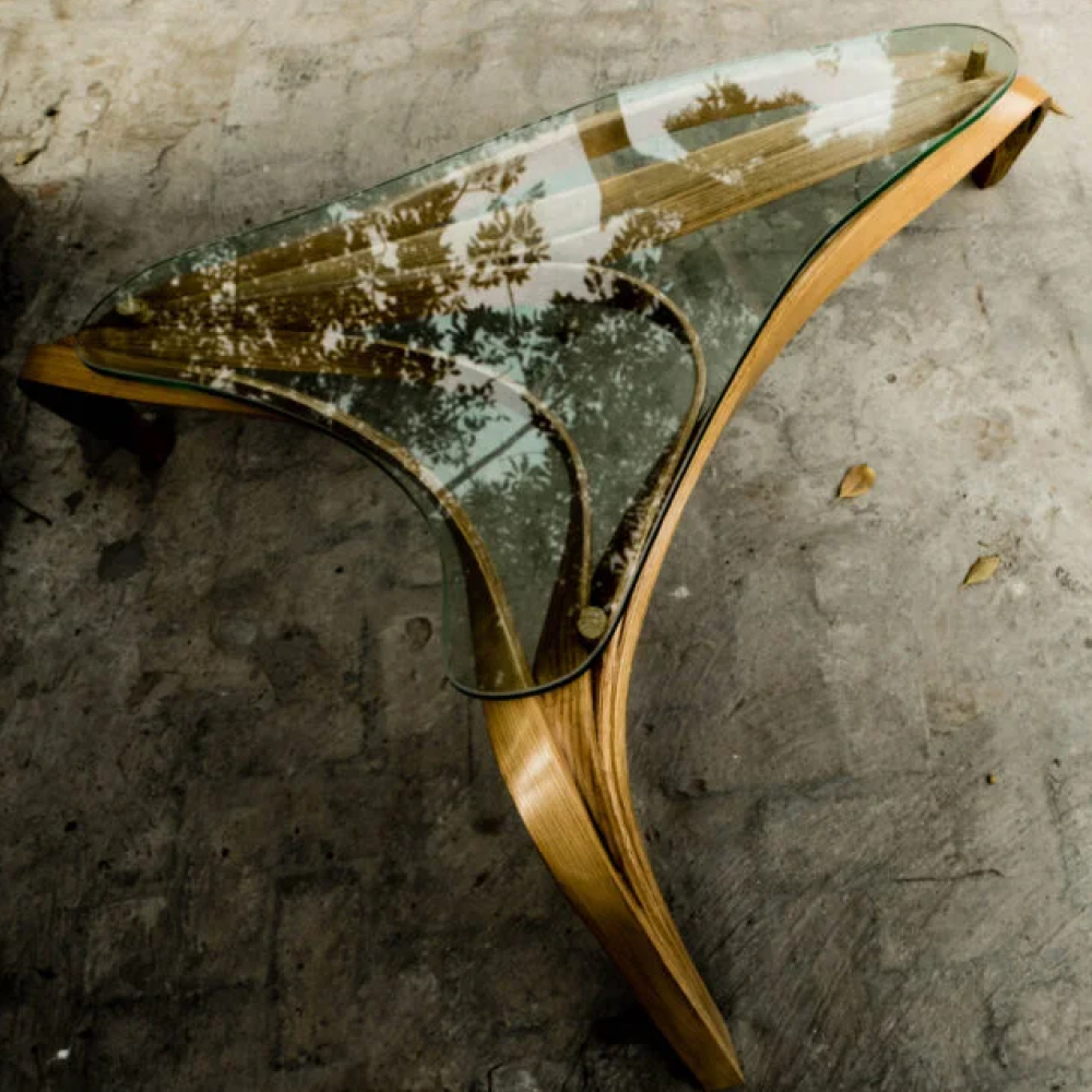 Center No.1 - Vrksa Series-1.png