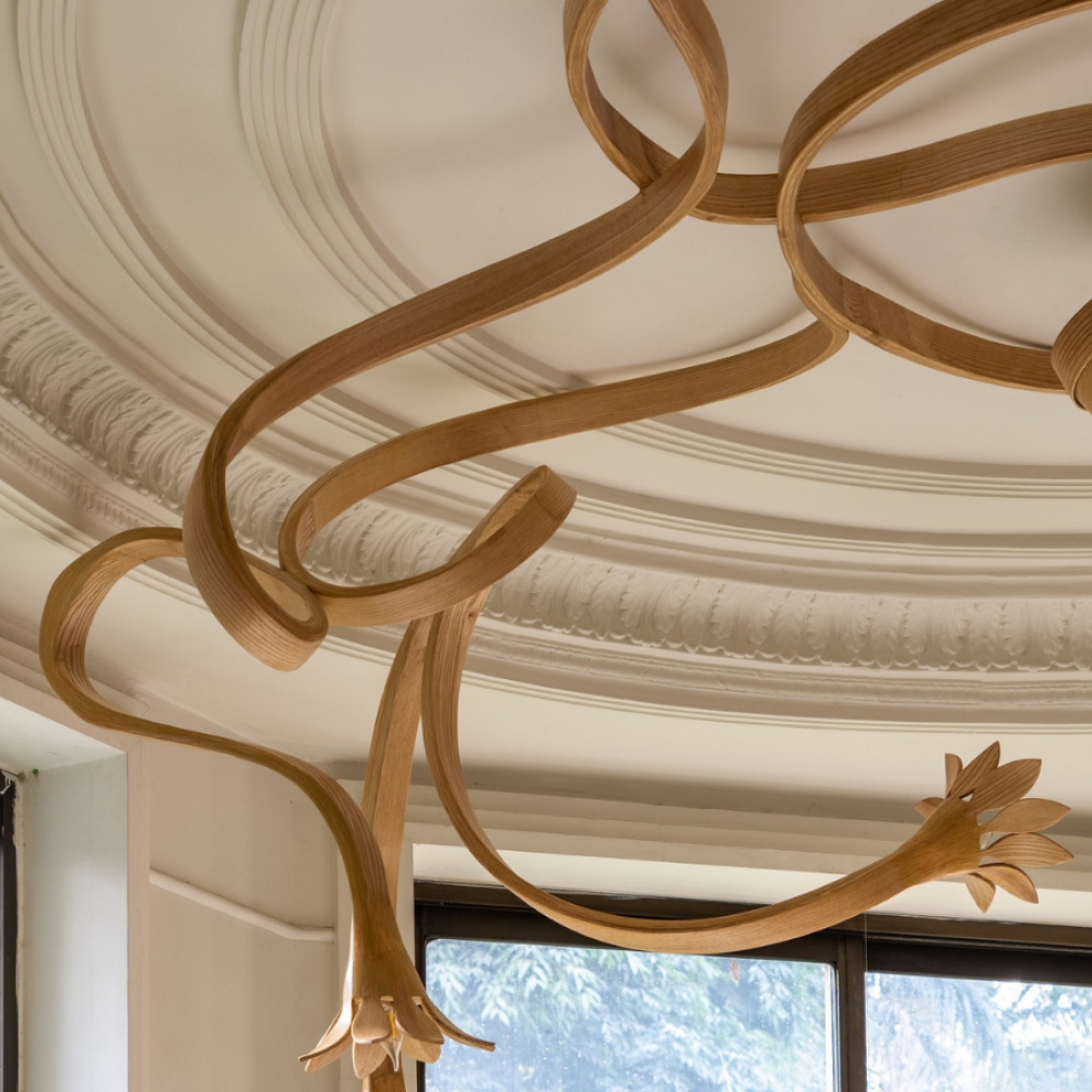 Custom Lumination No.1 - Vrksa Series 2.png