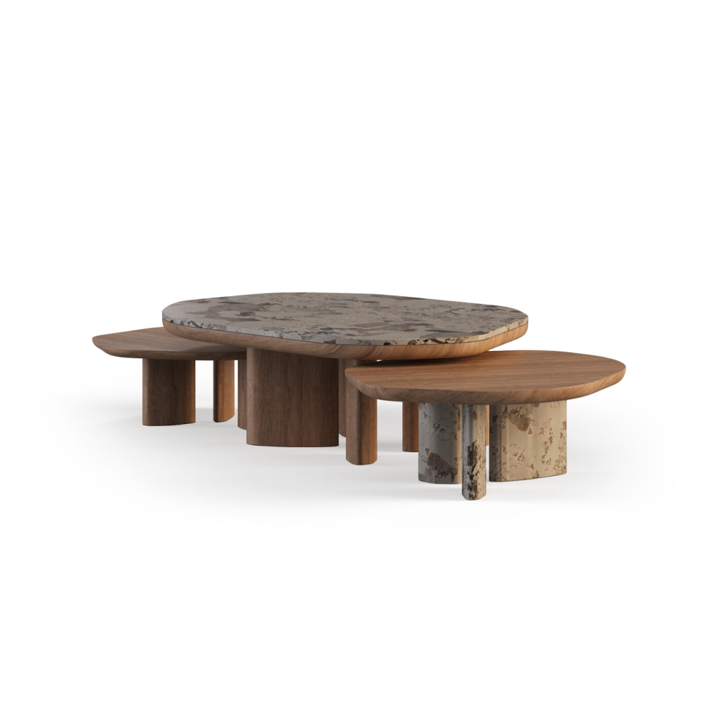Aty Coffee Table-1.png