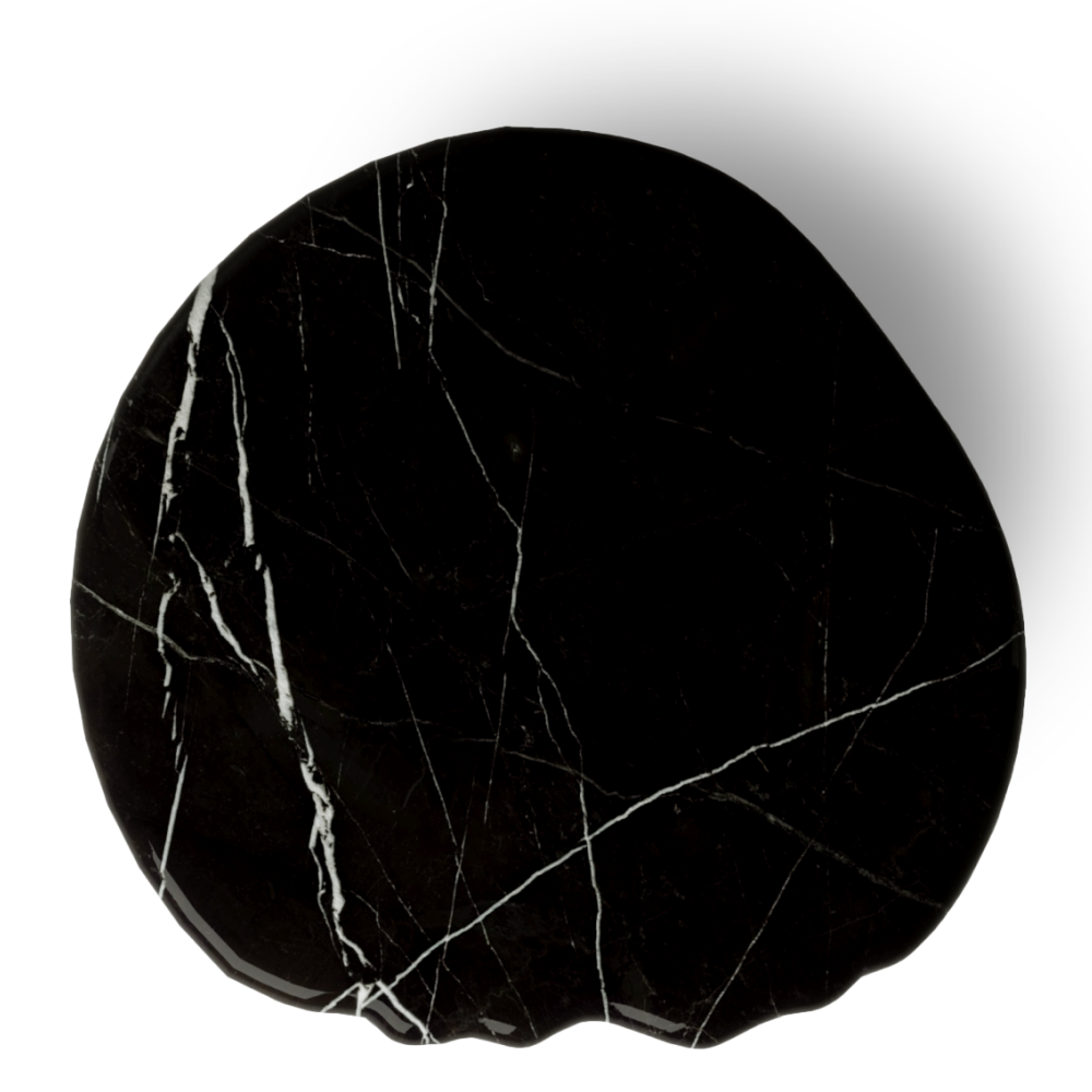 Ginkgo-7.png