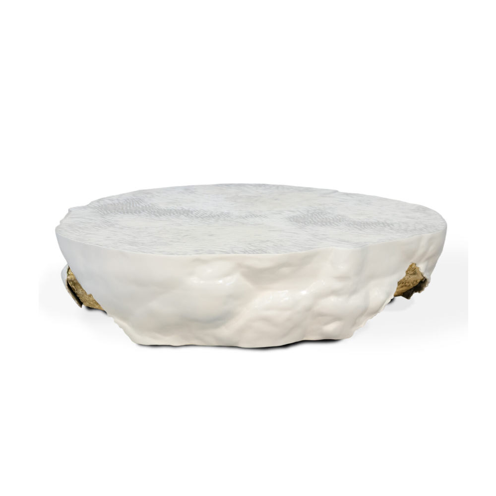 Ita Coffee Table-2.png