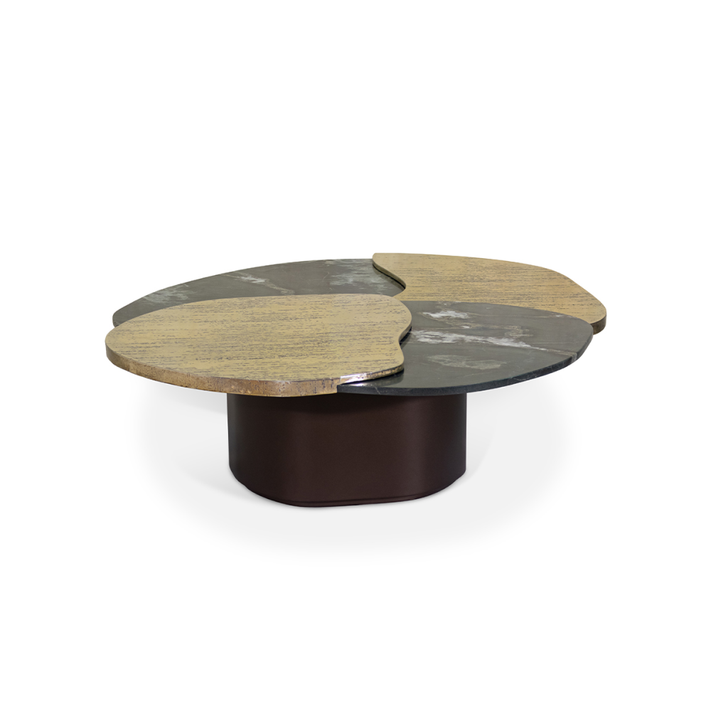 Zaya Coffee Table-2.png