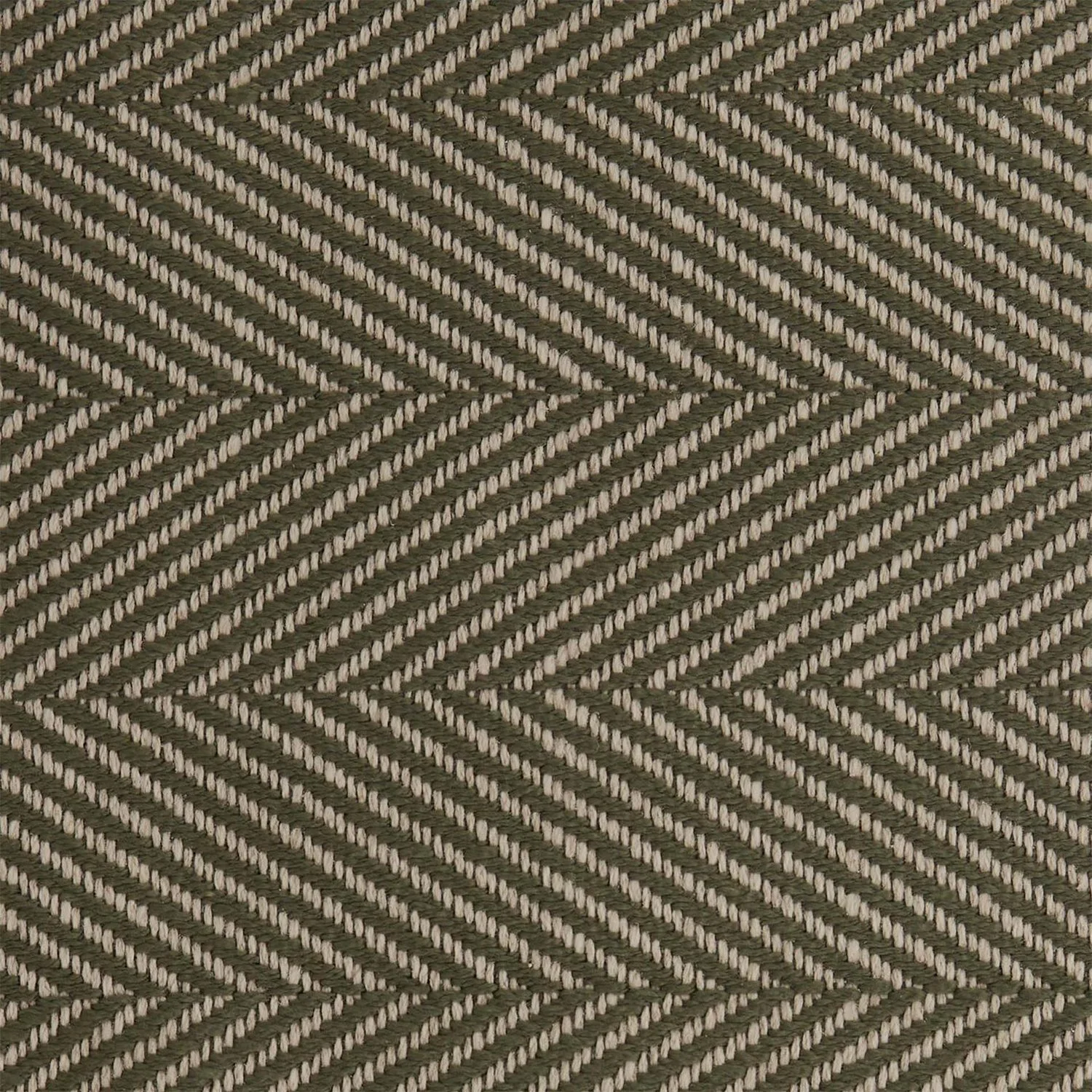 Loro Piana Dehors Eze Kasha Muschio