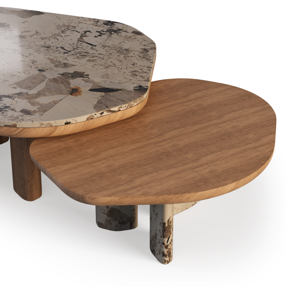 Aty Coffee Table-3.png