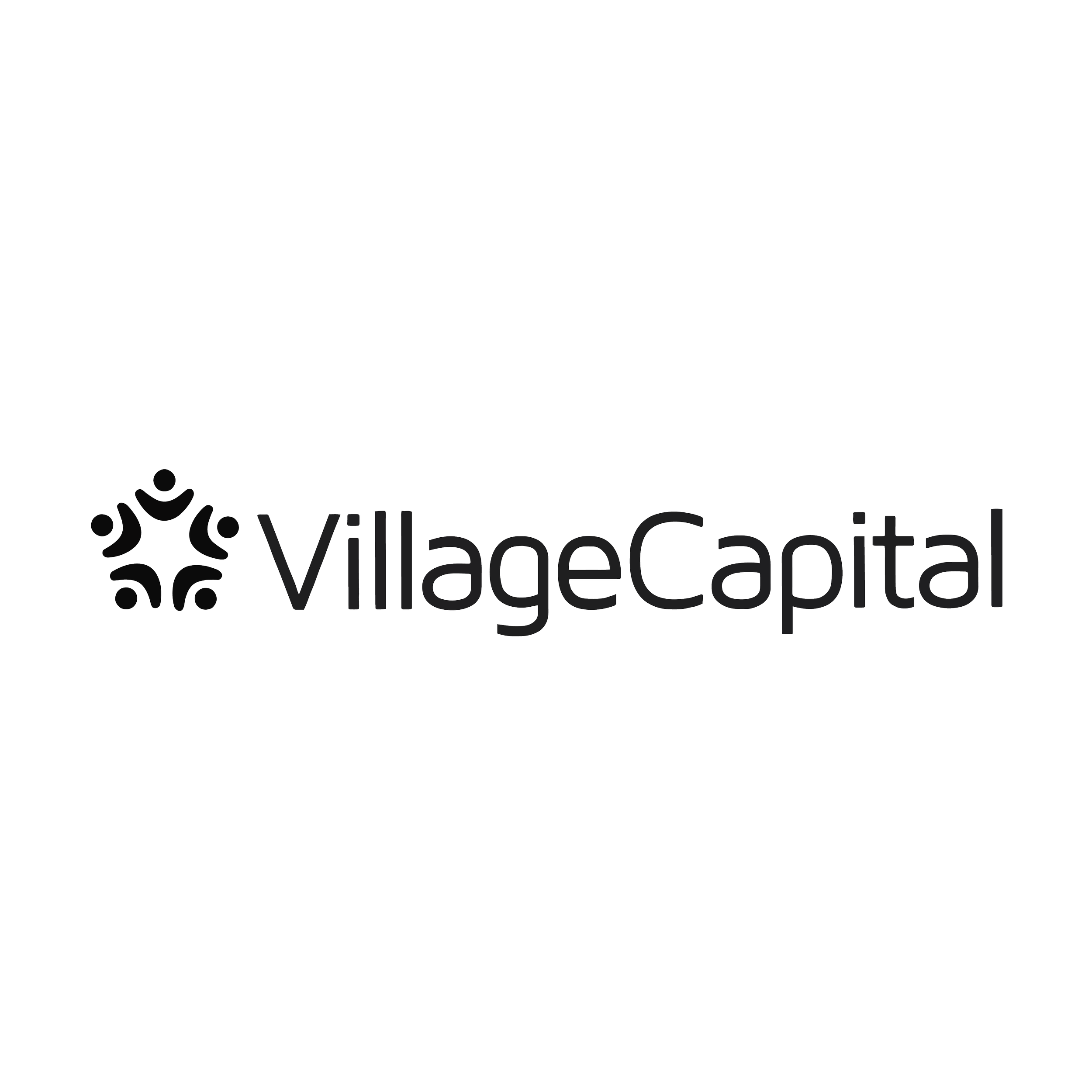 Logo_VilCap.png