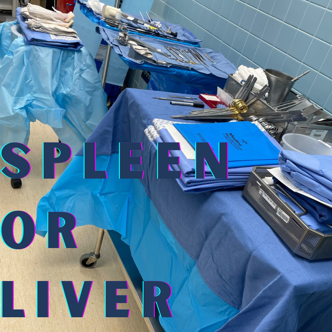 Liver Mistaken for A Spleen Intraoperatively