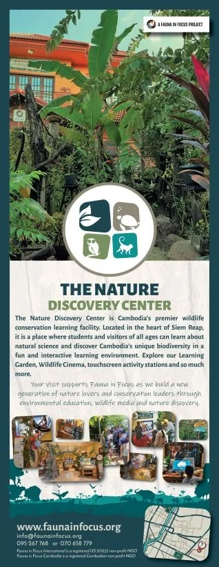 NDC Standing Banner 2020.jpg