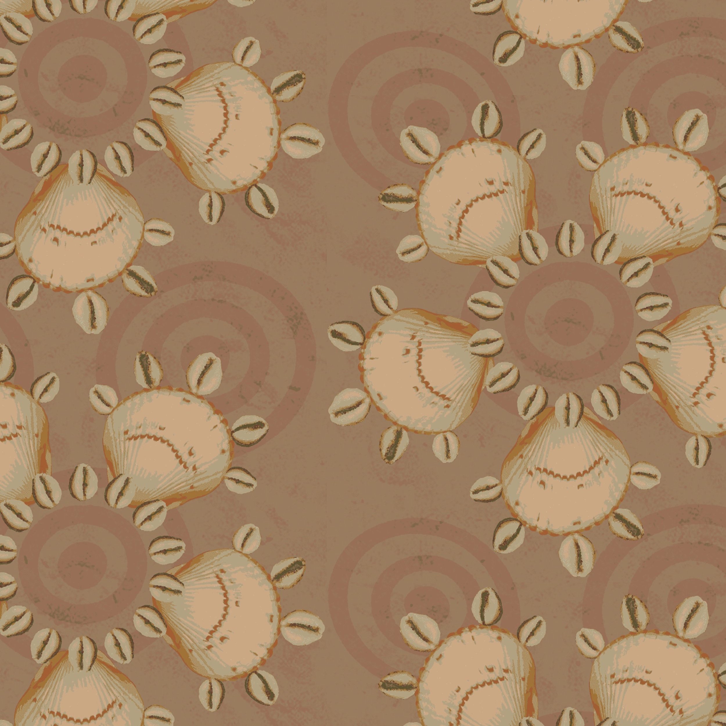 shells.jpg