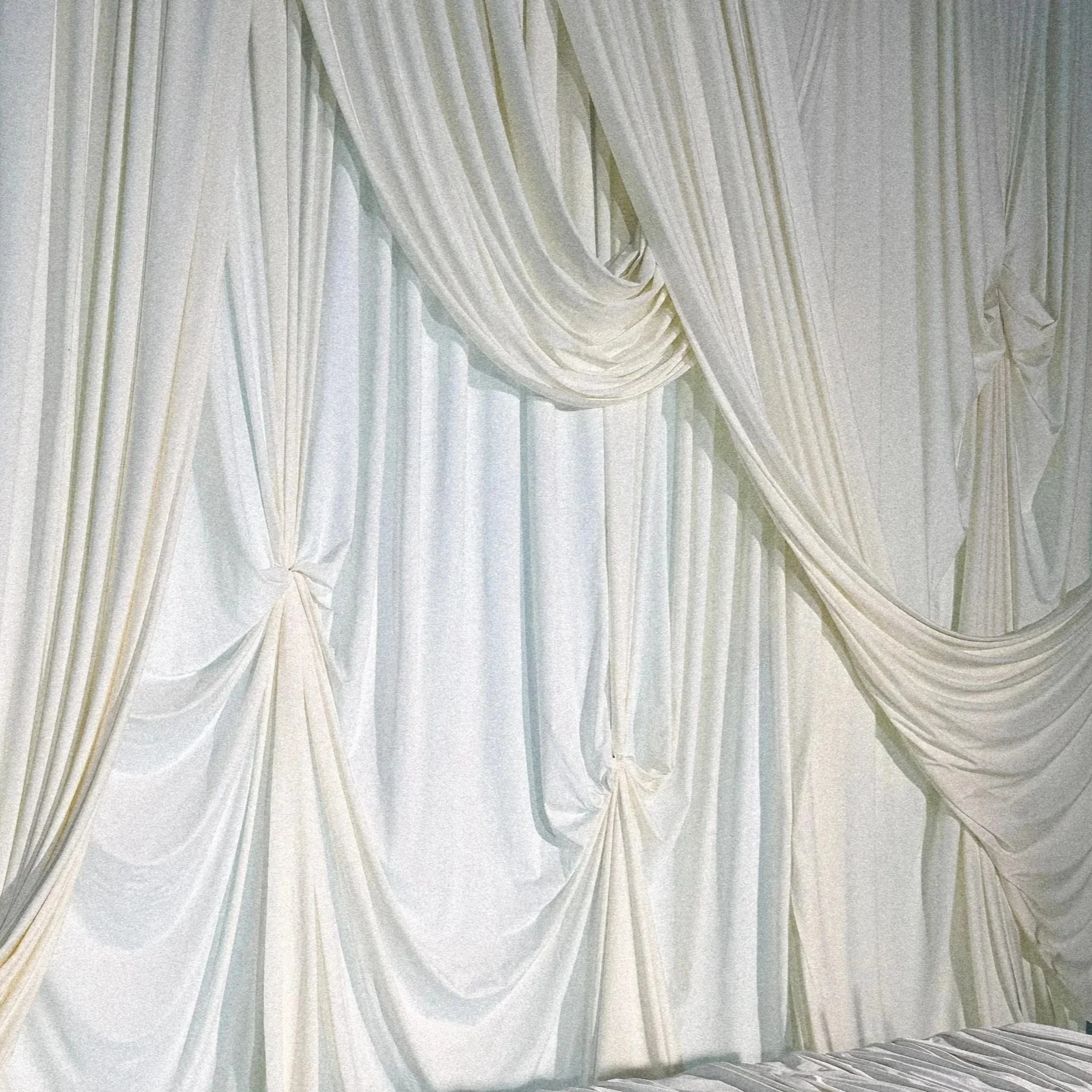 desiree-gibbens-dupe.jpg