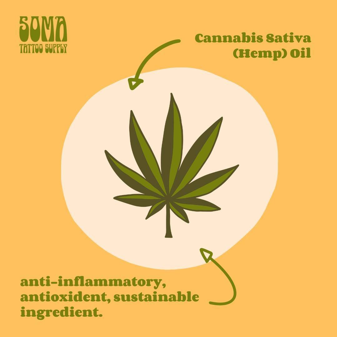 Cannabis Sativa is a plant a lot of folks are familiar with in one way or another, we thought infusing it into our Tattoo Butter would be another way to get to know this wonderful plant. ⁠
⁠
Don't worry you won't get high for those asking!⁠
⁠
Cannabi