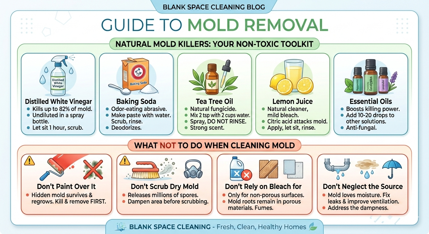 How to Clean Mold Naturally (And What NOT to Do)