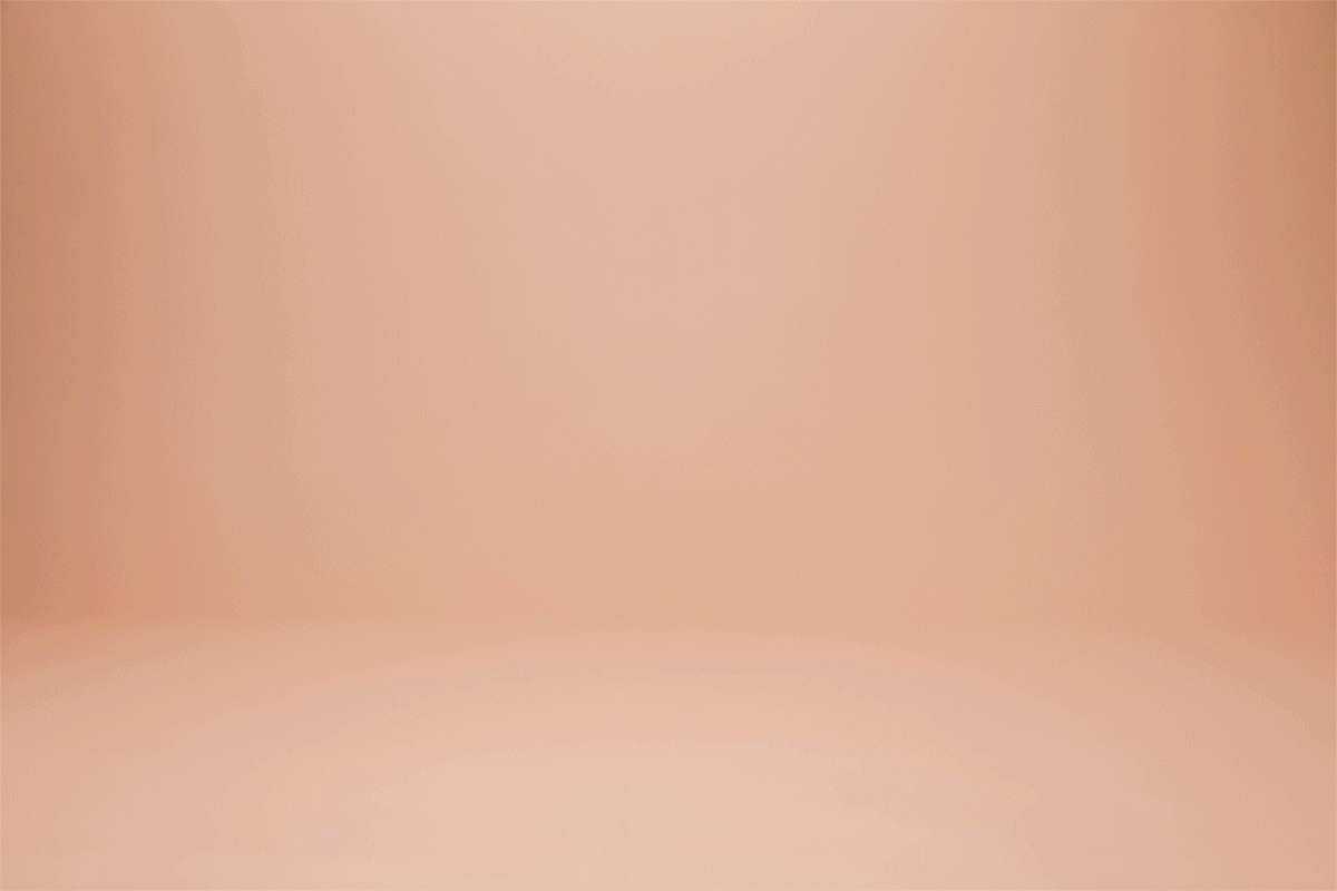 MEGOTIANT_SET_UP_1200px.gif