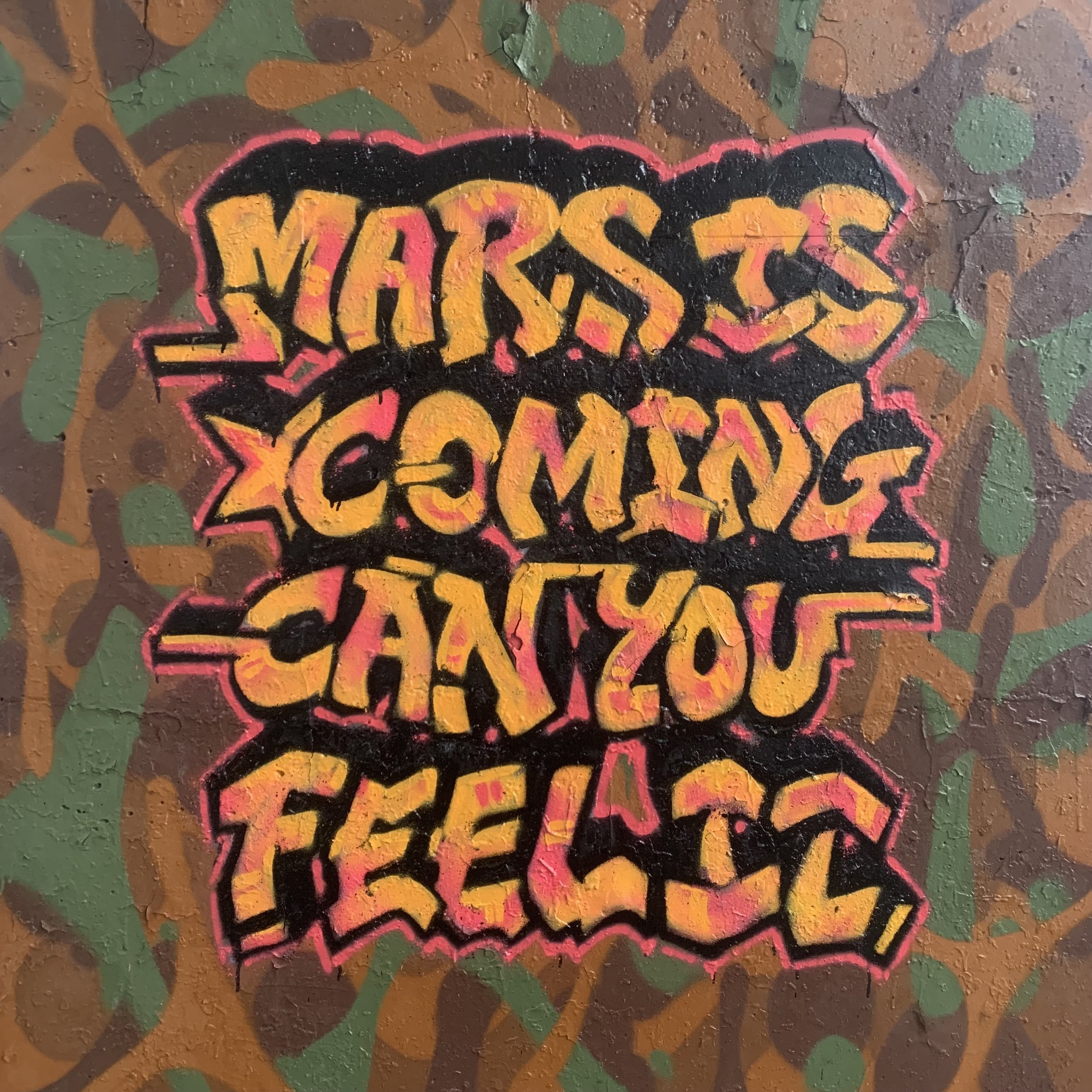 Promotional Video Mural - Mazvita