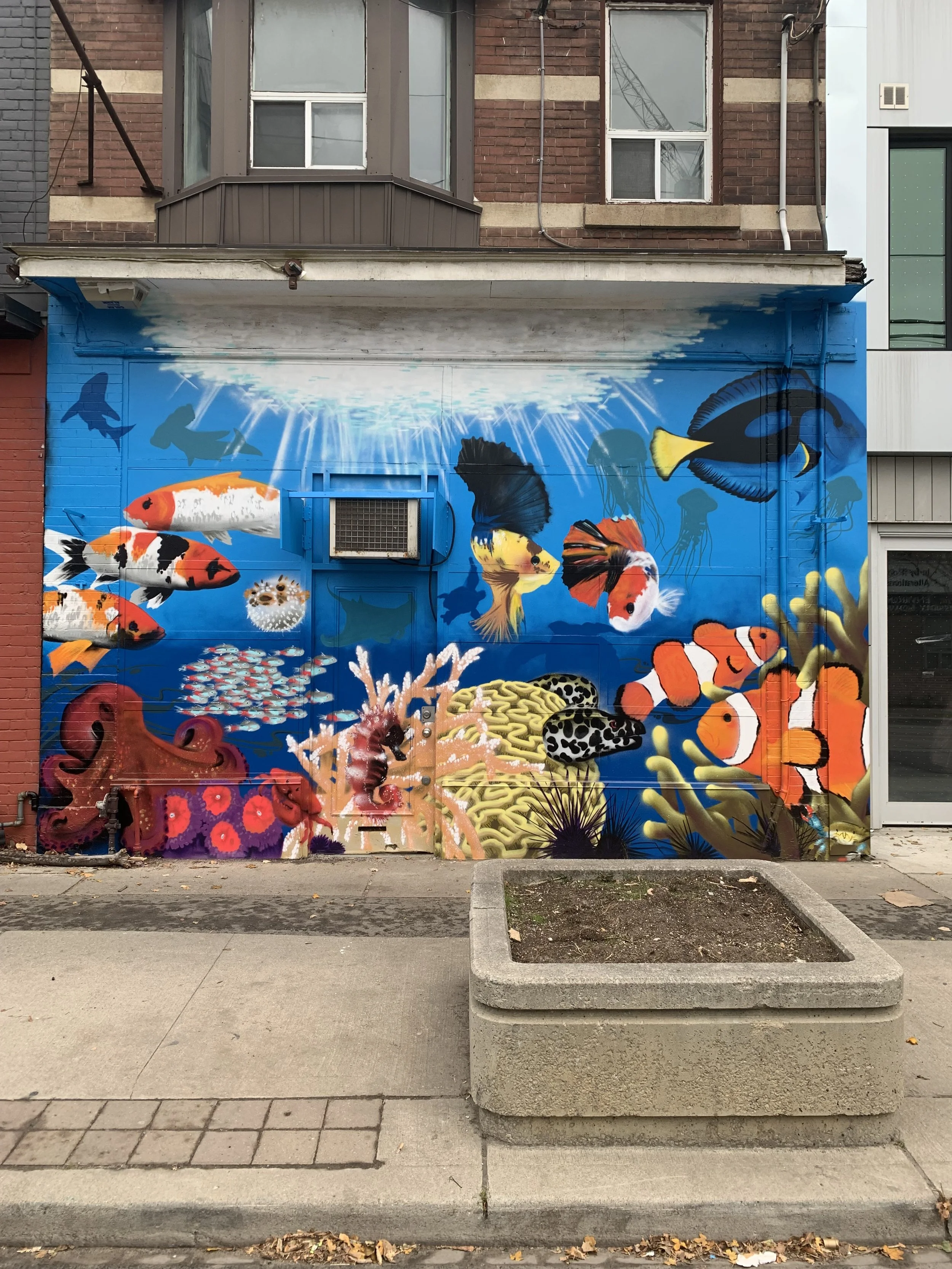 DT Aquarium - Storefront Mural