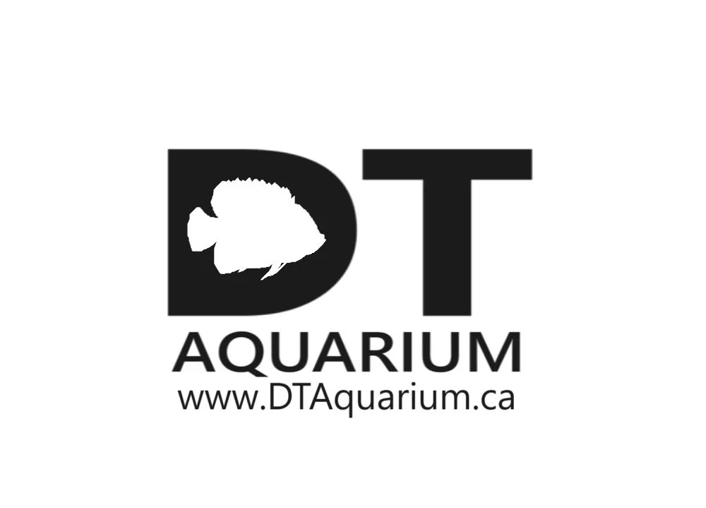 DT Aquarium Logo v1.jpg