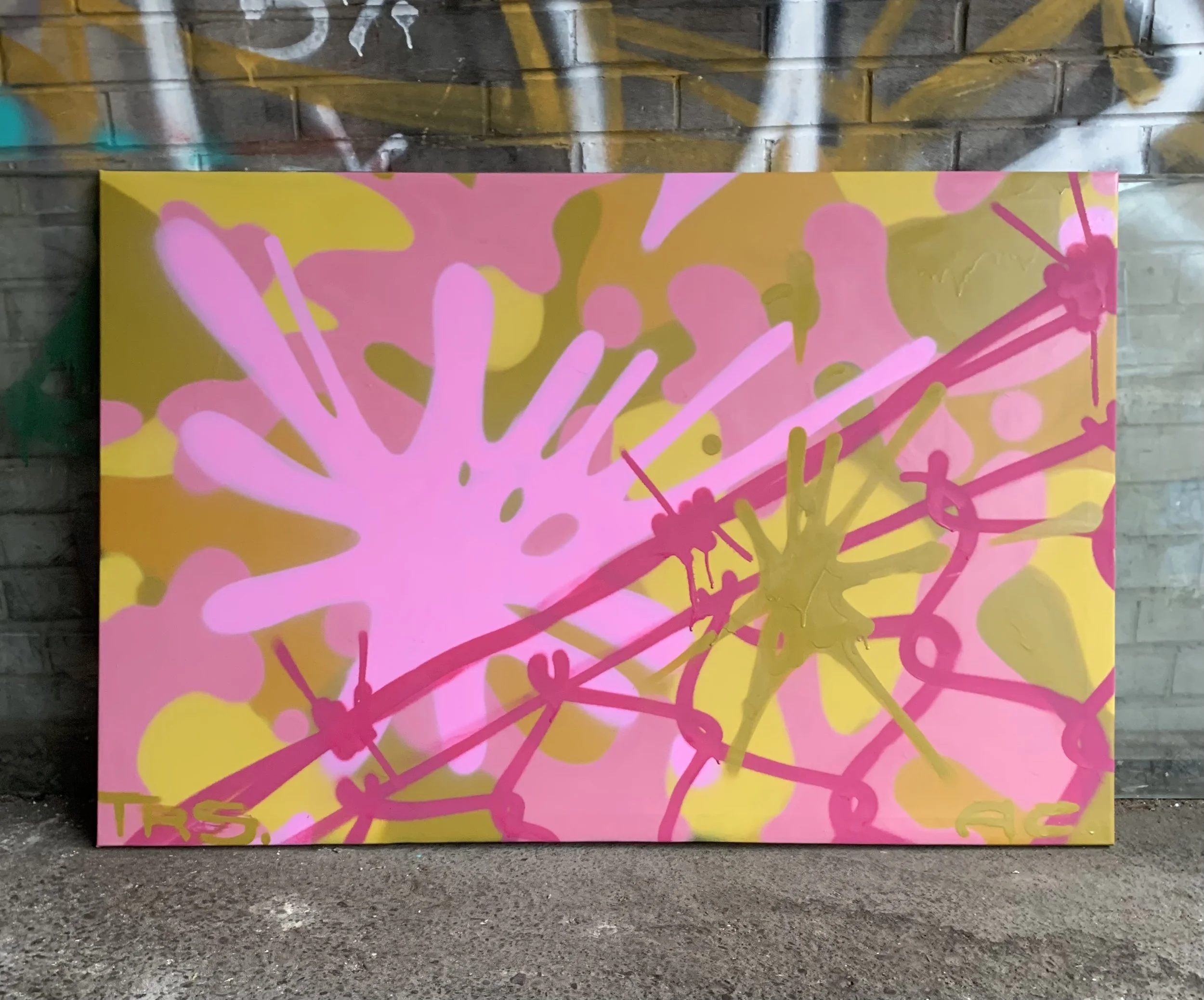 "Barbed Camouflage"
Spray paint on wood canvas 2024.