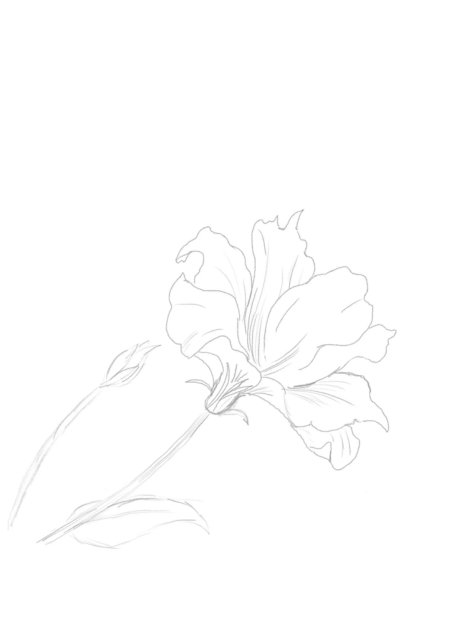 Untitled_Artwork 11.jpg