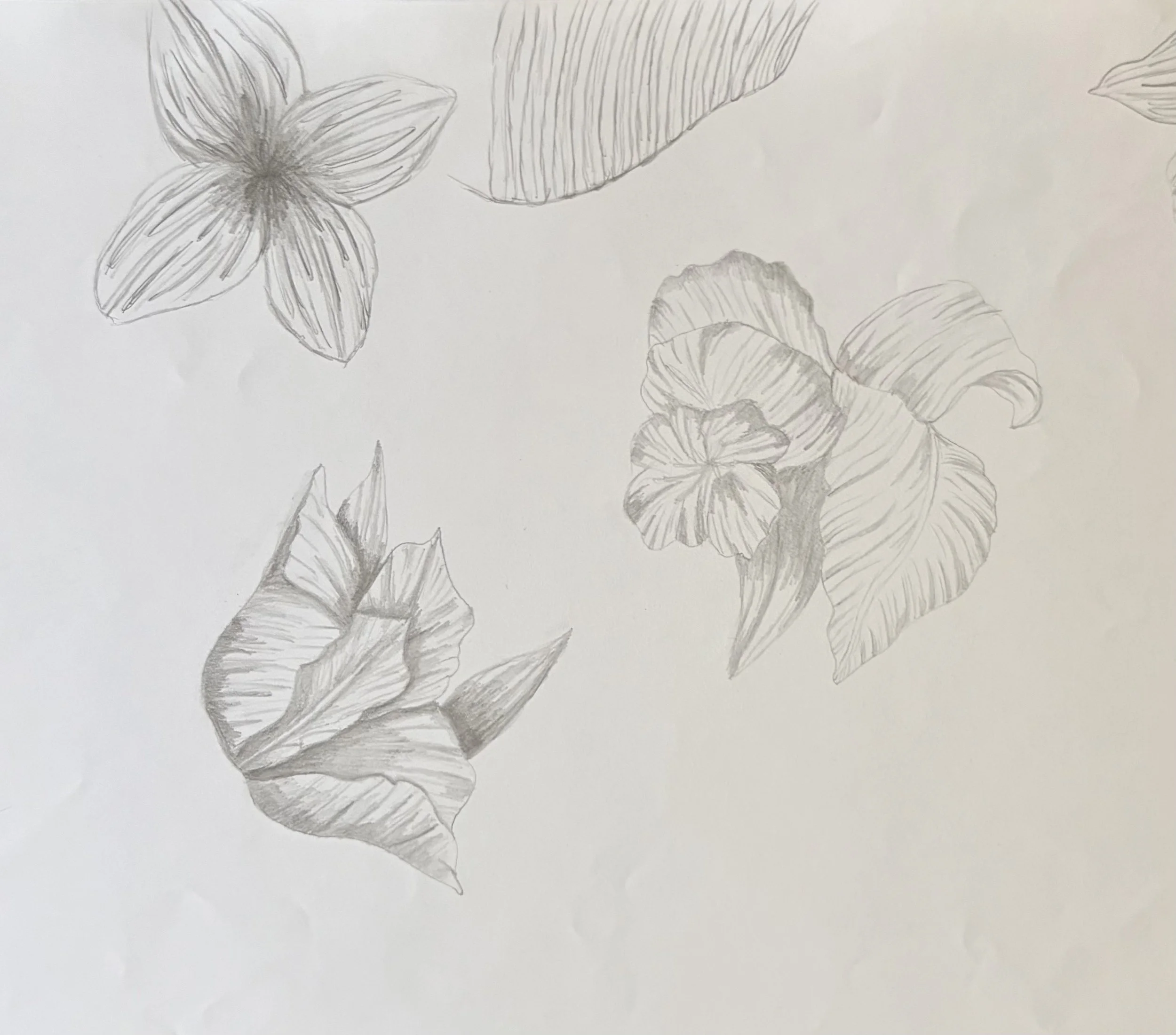IMG_6404.jpeg