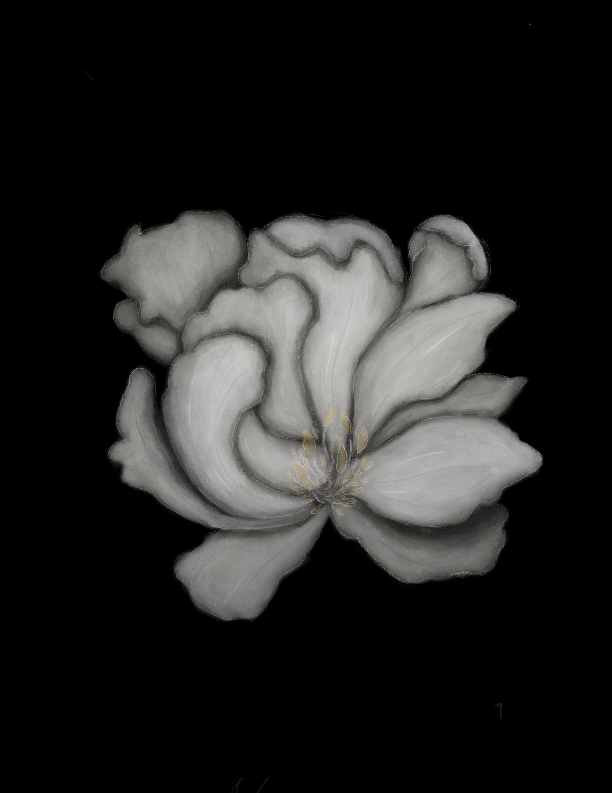 Untitled_Artwork 9.jpg