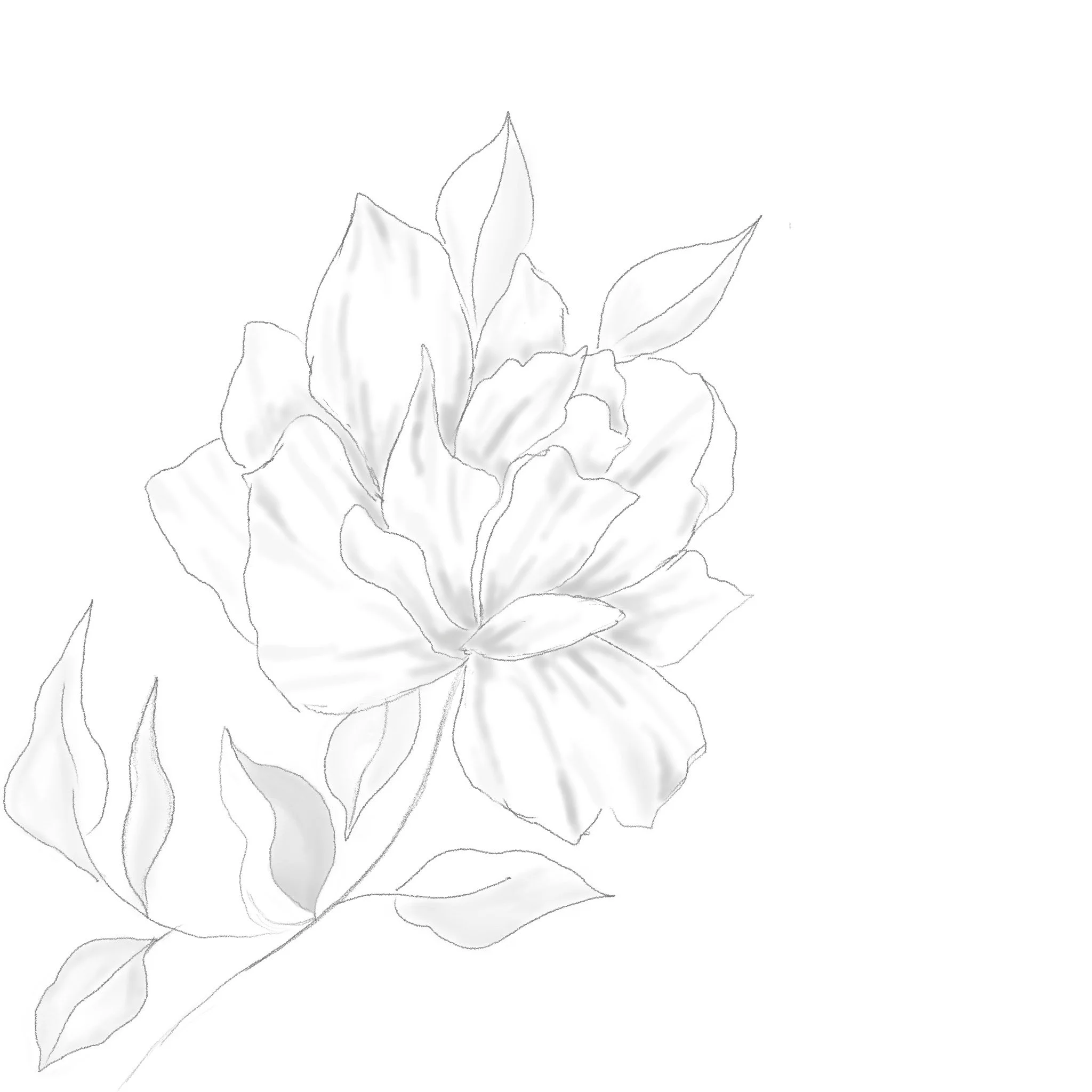 Untitled_Artwork 10.jpg
