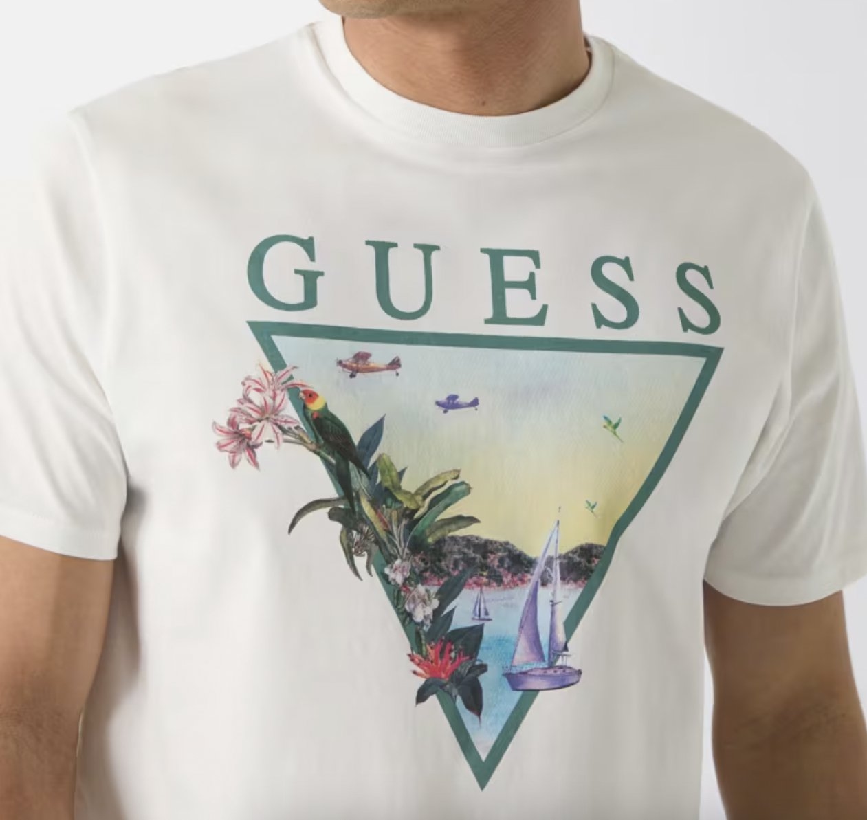 APPAREL GRAPHICS