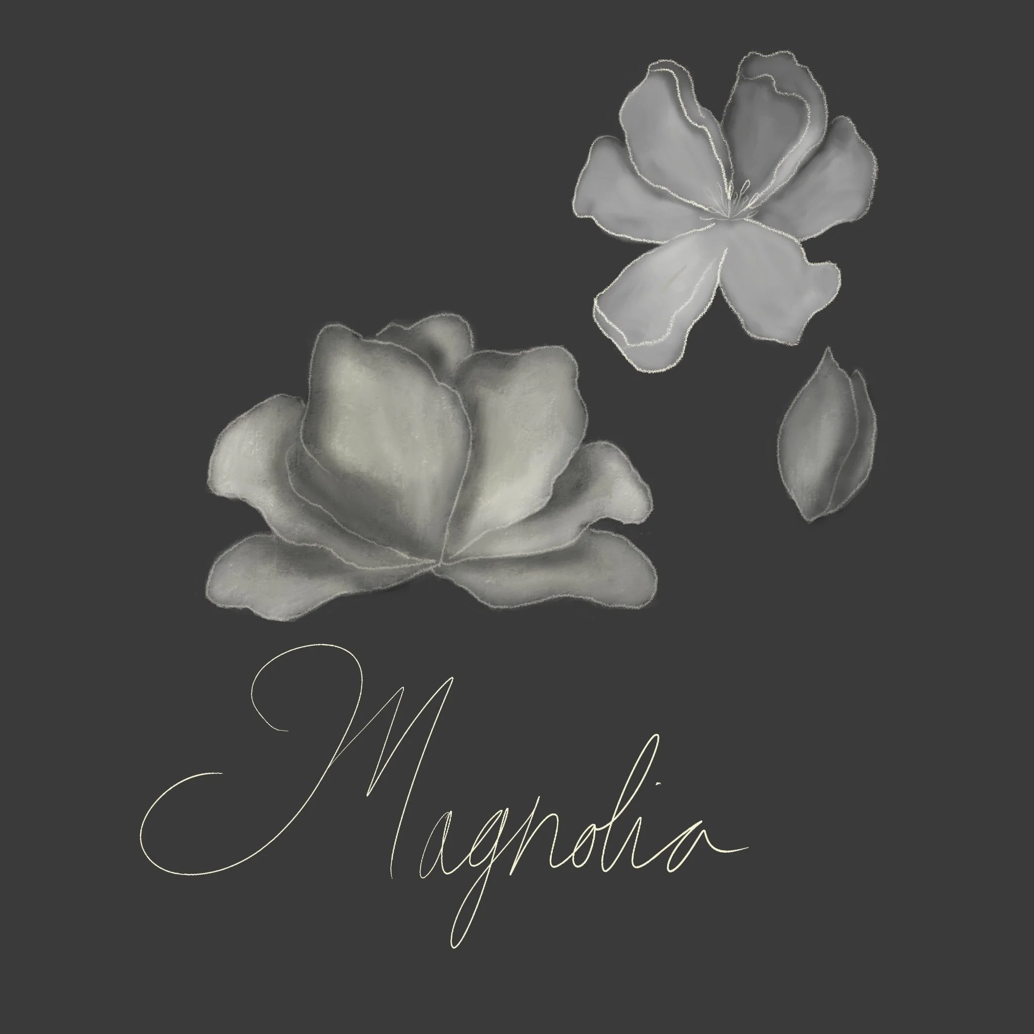Untitled_Artwork 3.jpg