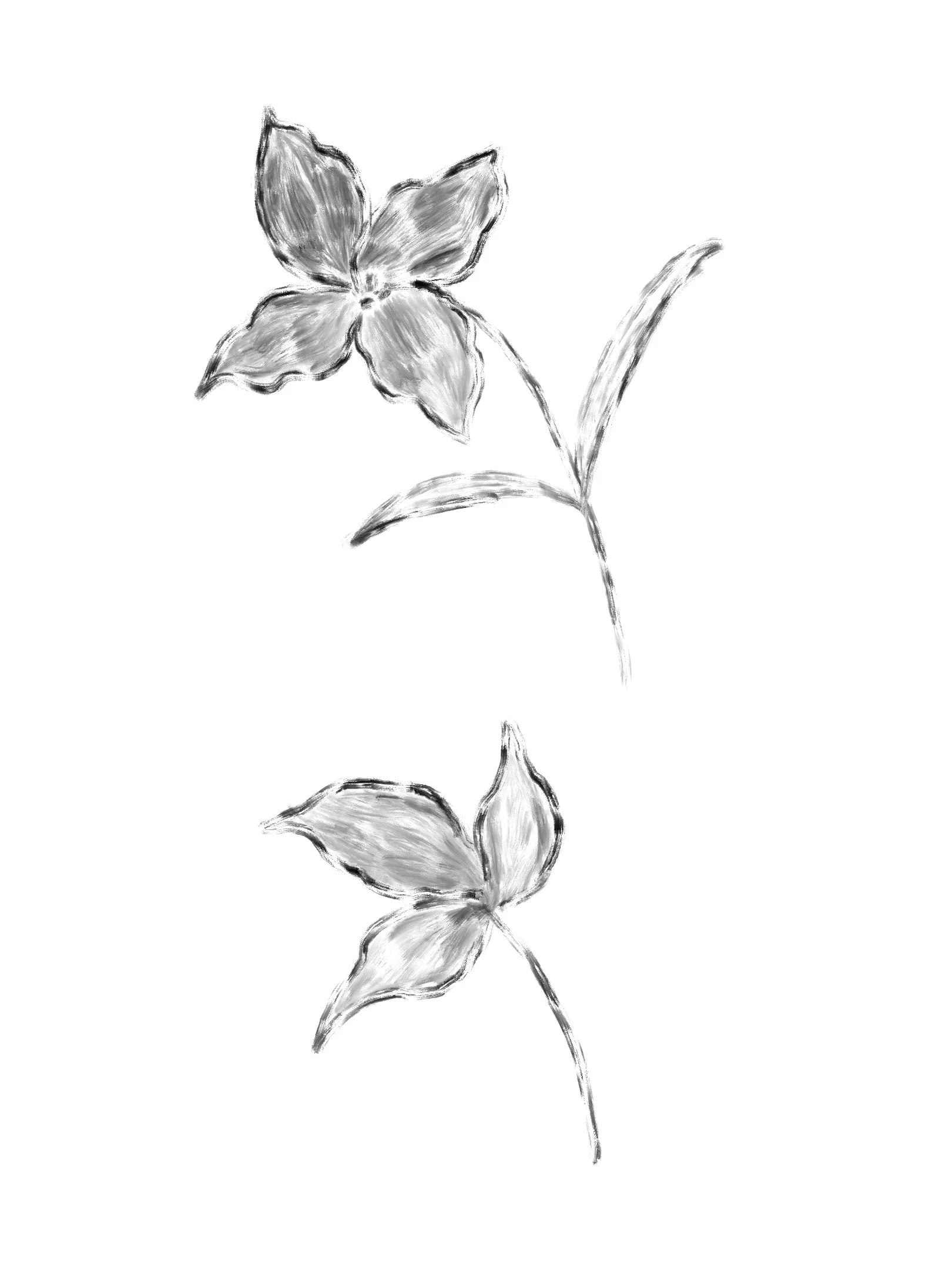 Untitled_Artwork 5.jpg