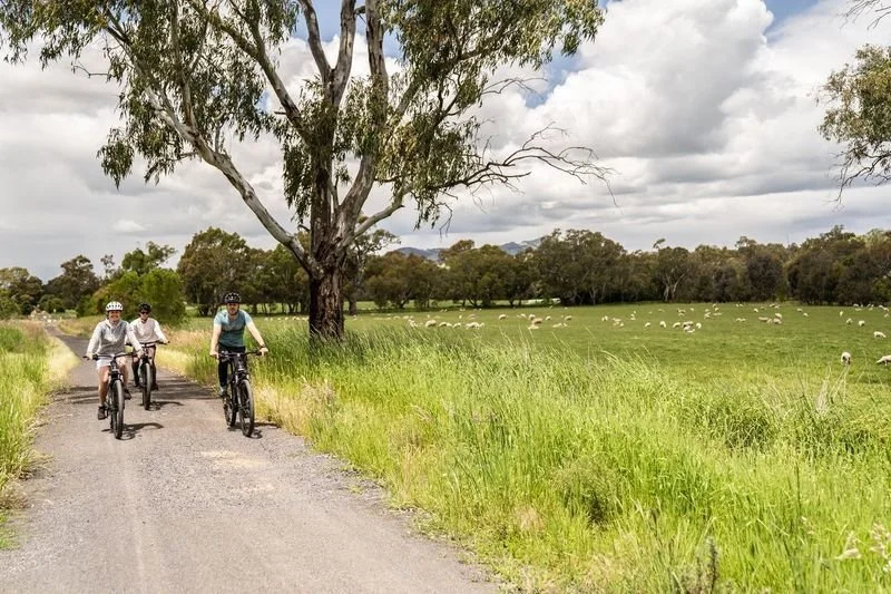 Scenic view of a lake surrounded by mountains and rolling hills under cloudy sky