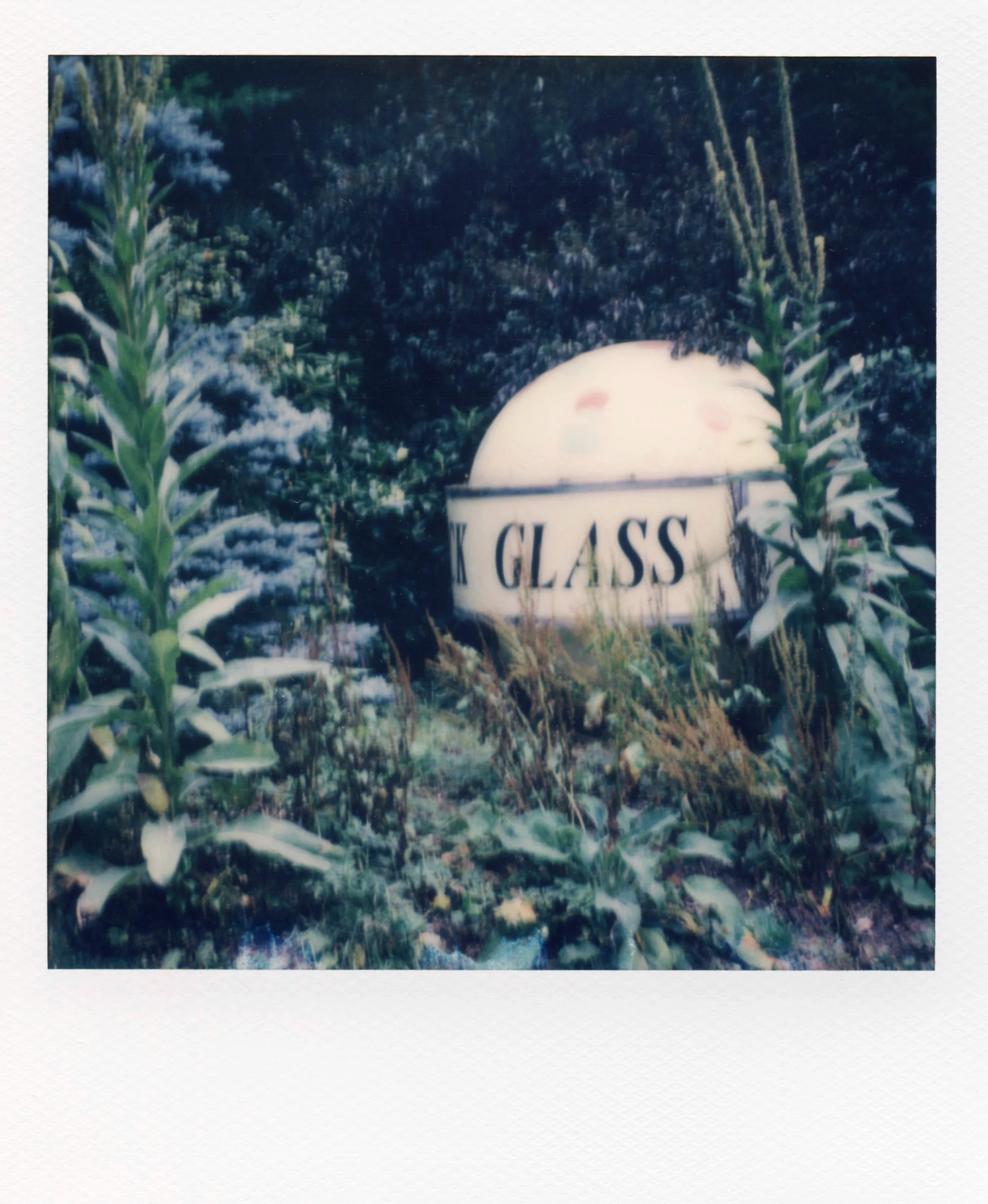 polaroid_sx70_064.jpg