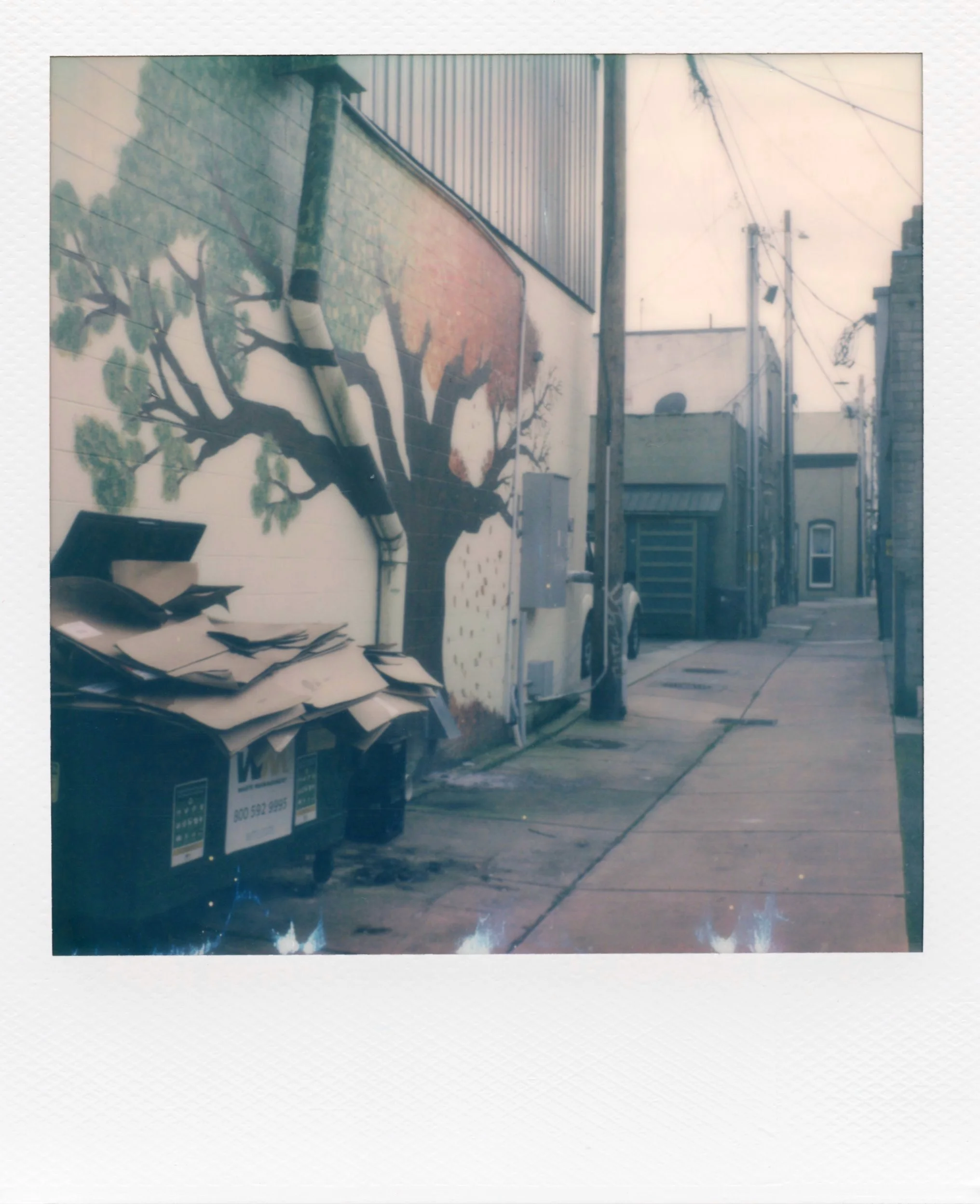 polaroid_sx70_135.jpg