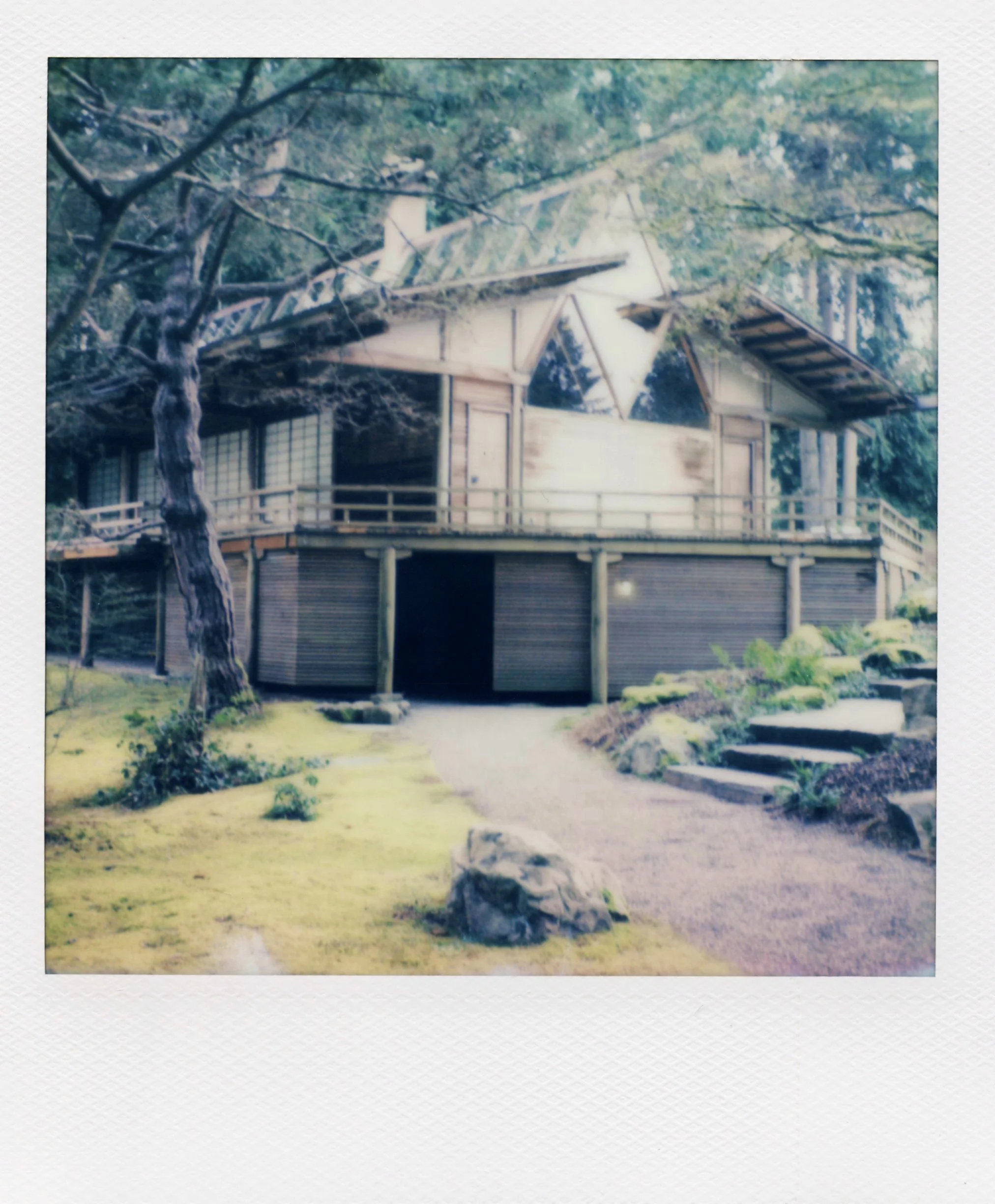 polaroid_sx70_077.jpg